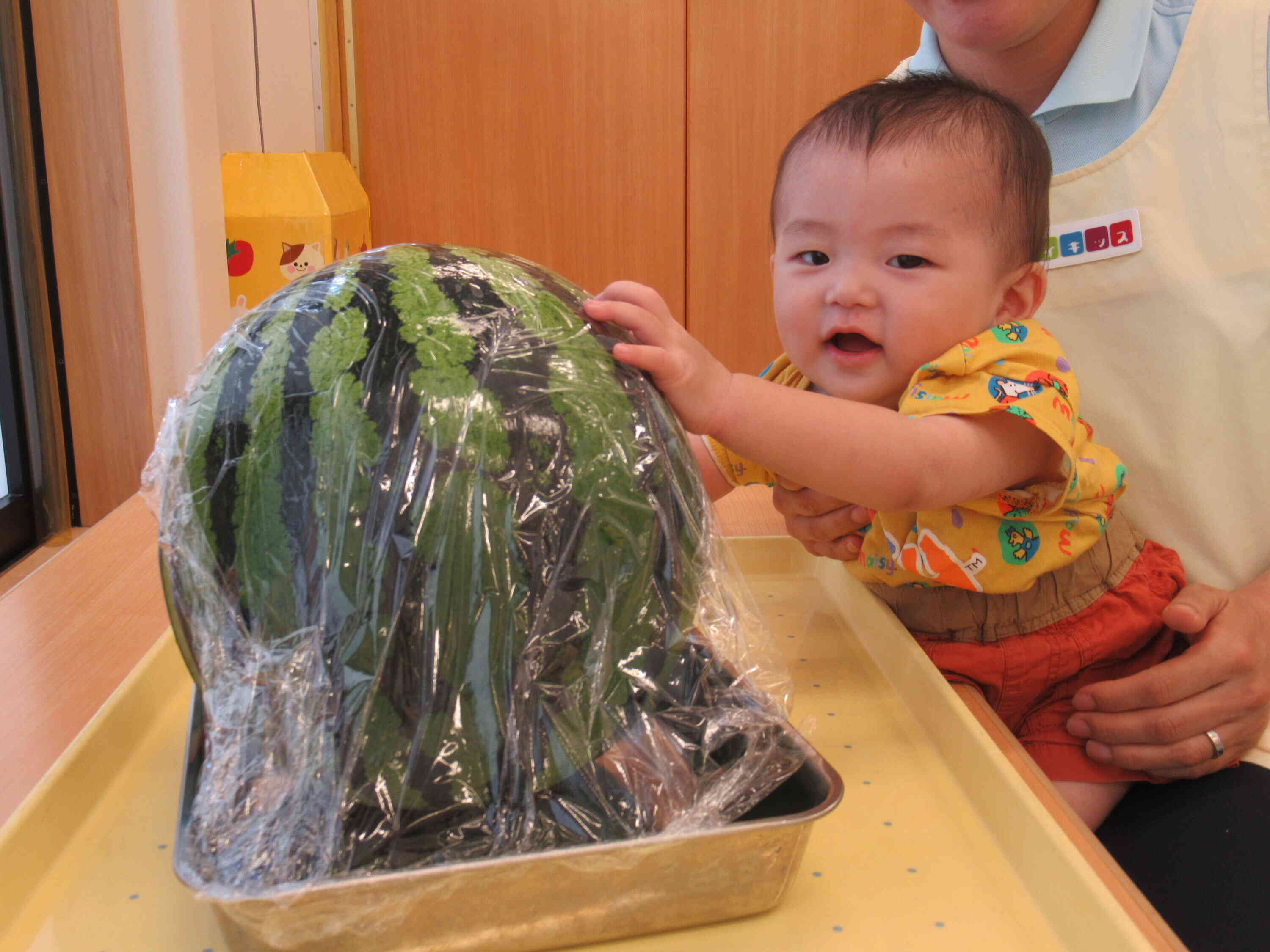 ひよこ組（0歳児）もスイカにタッチ！！