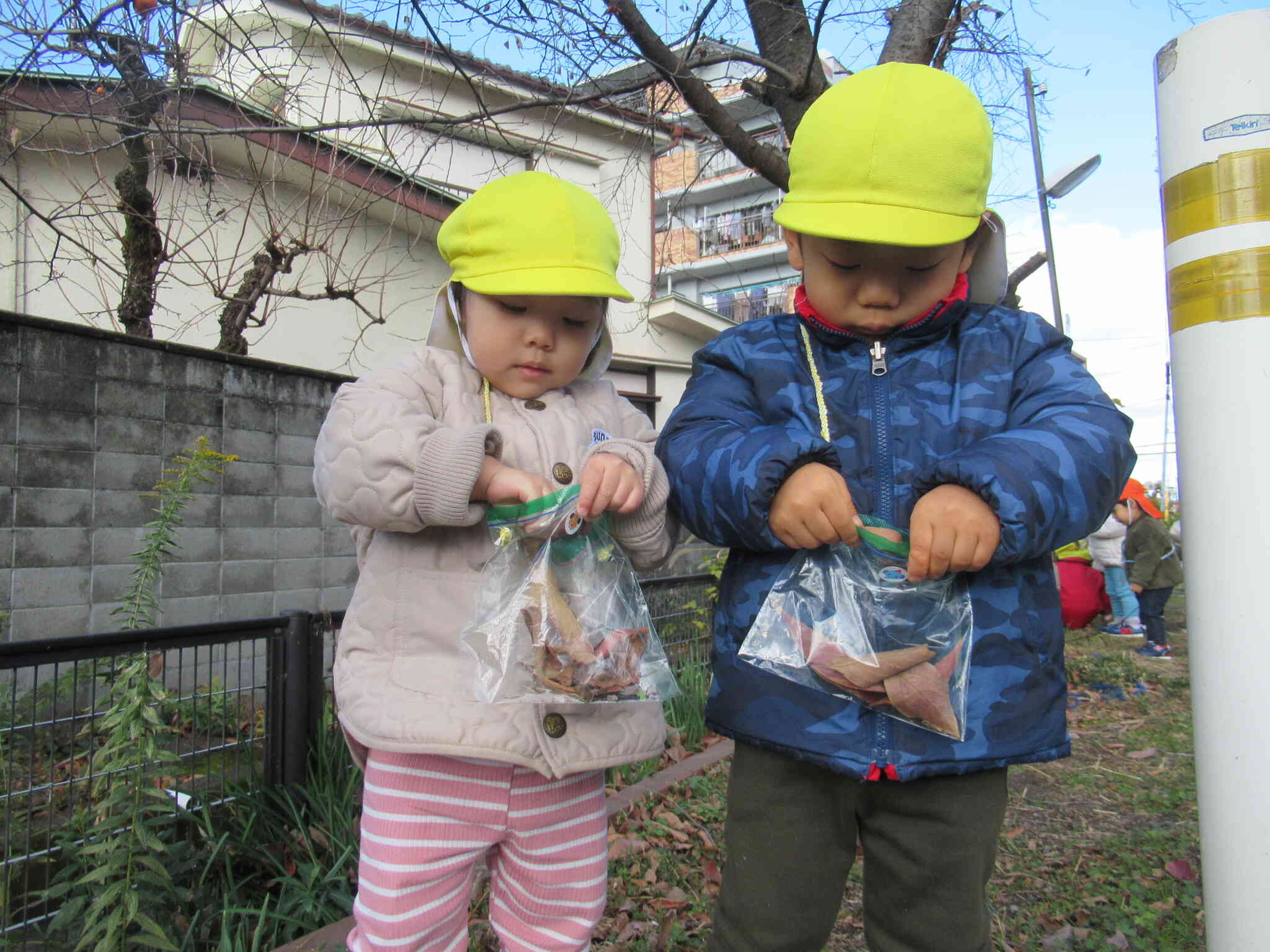 落ち葉拾いをしたよ（あひる組、うさぎ組）