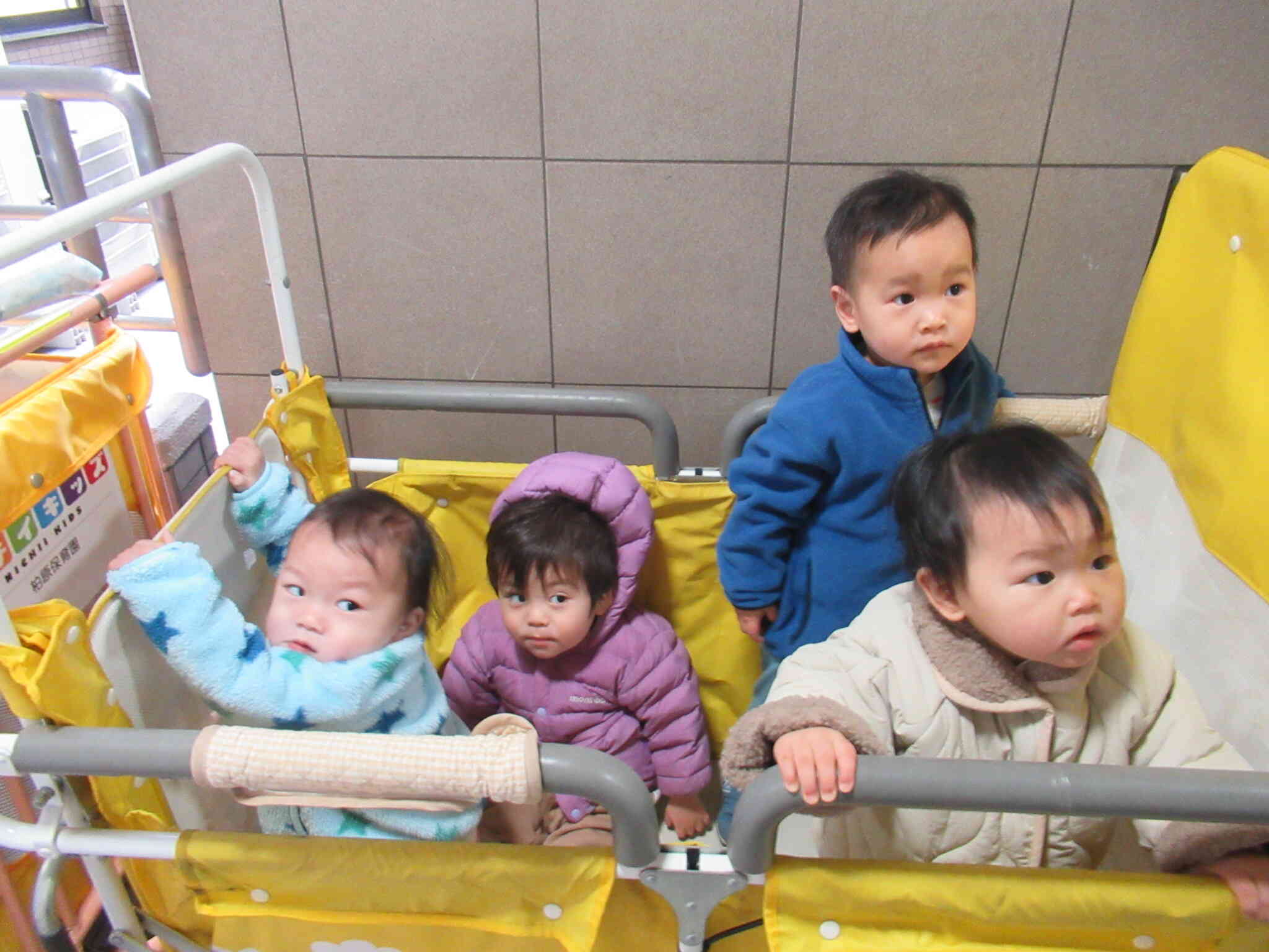 戸外散歩（ひよこ組）