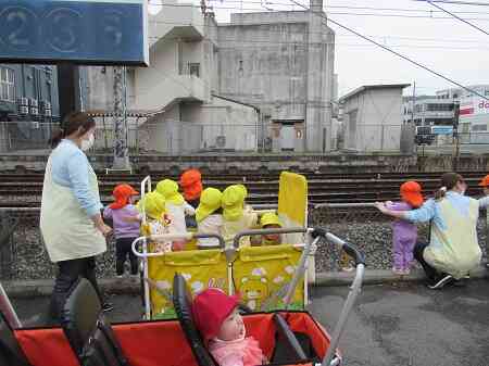 活動の様子（ひよこ・あひる・うさぎ組）