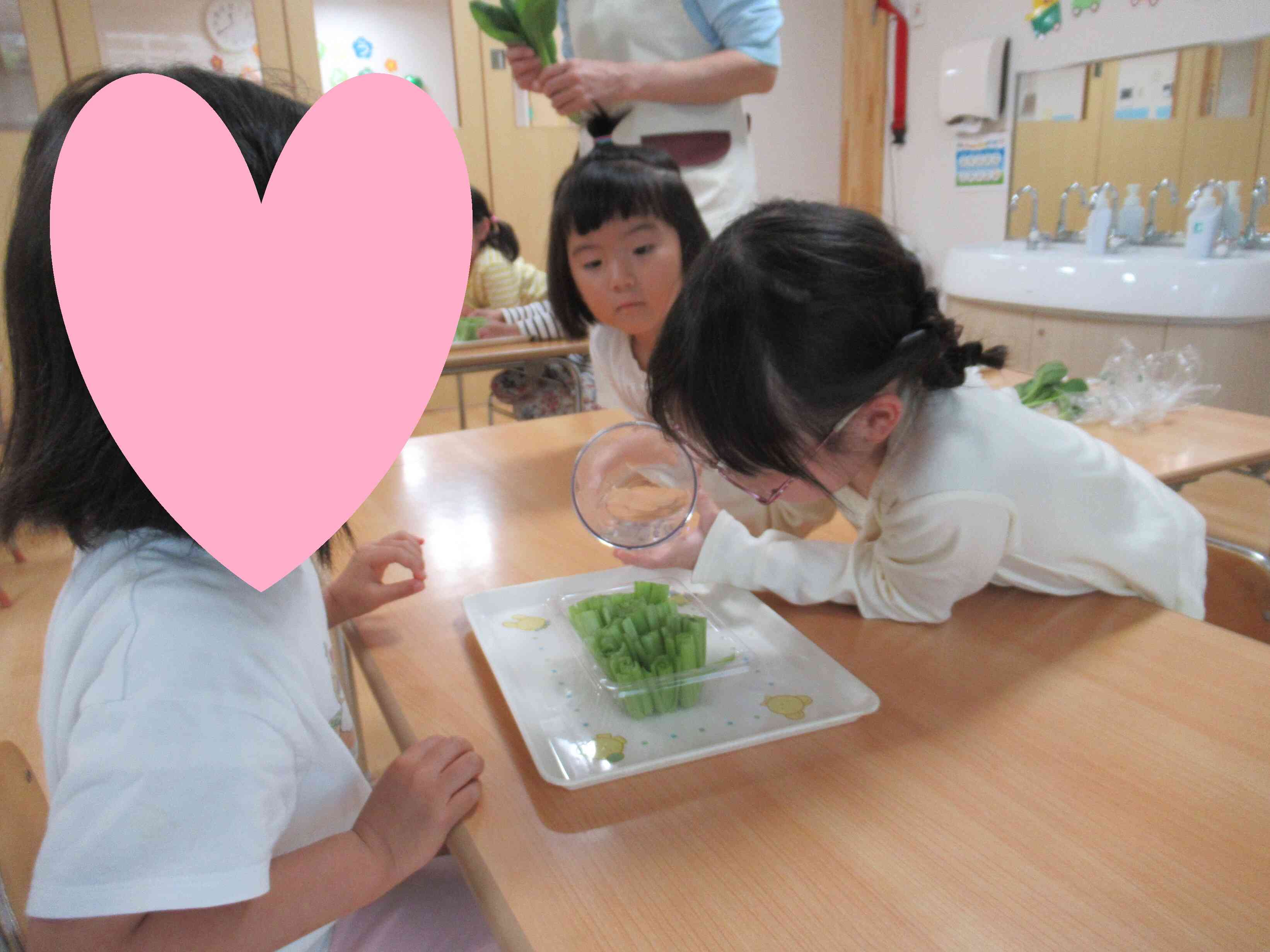 4歳児5歳児クラスの食育『小松菜の再生栽培』