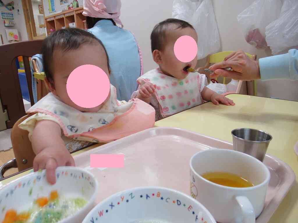 ご飯も沢山食べるようになりました。お散歩に行くとお腹がペコペコです。