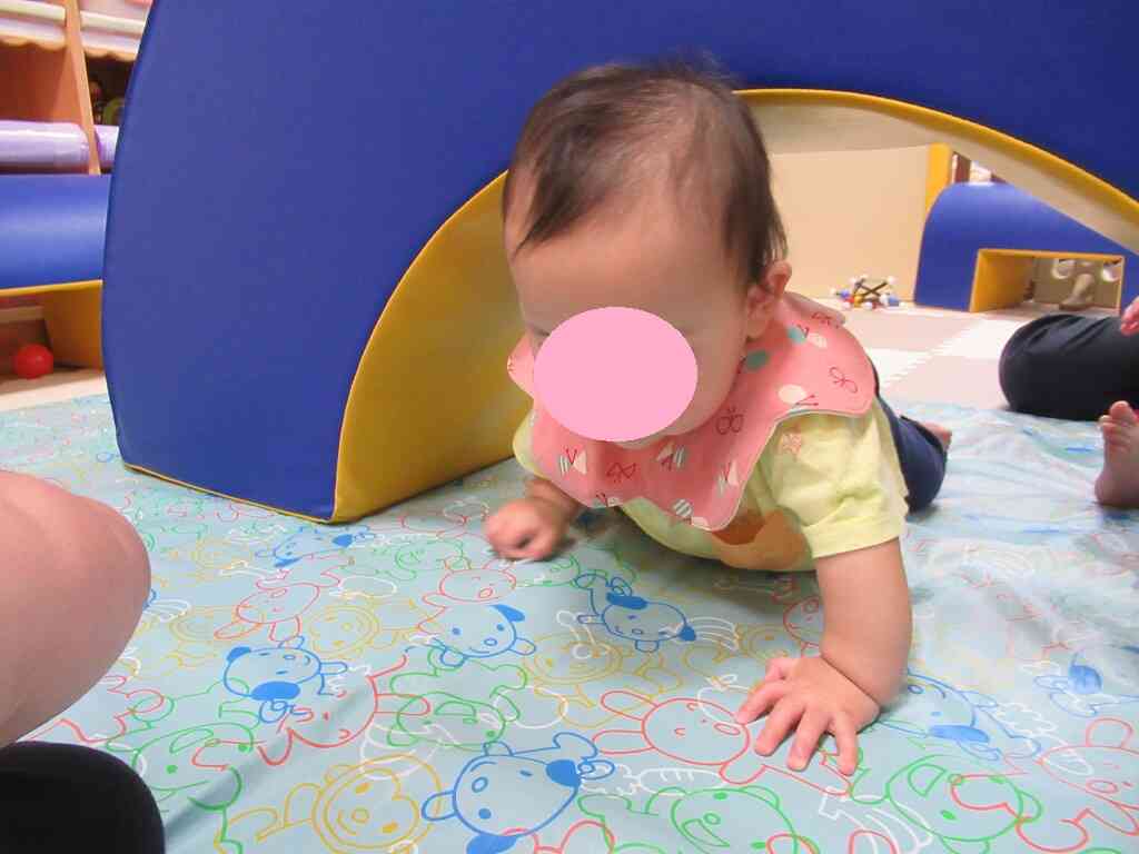 はじめはなんとなく不安顔なトンネルくぐりも今は嬉しそうにくぐる姿が見られるようになりました。