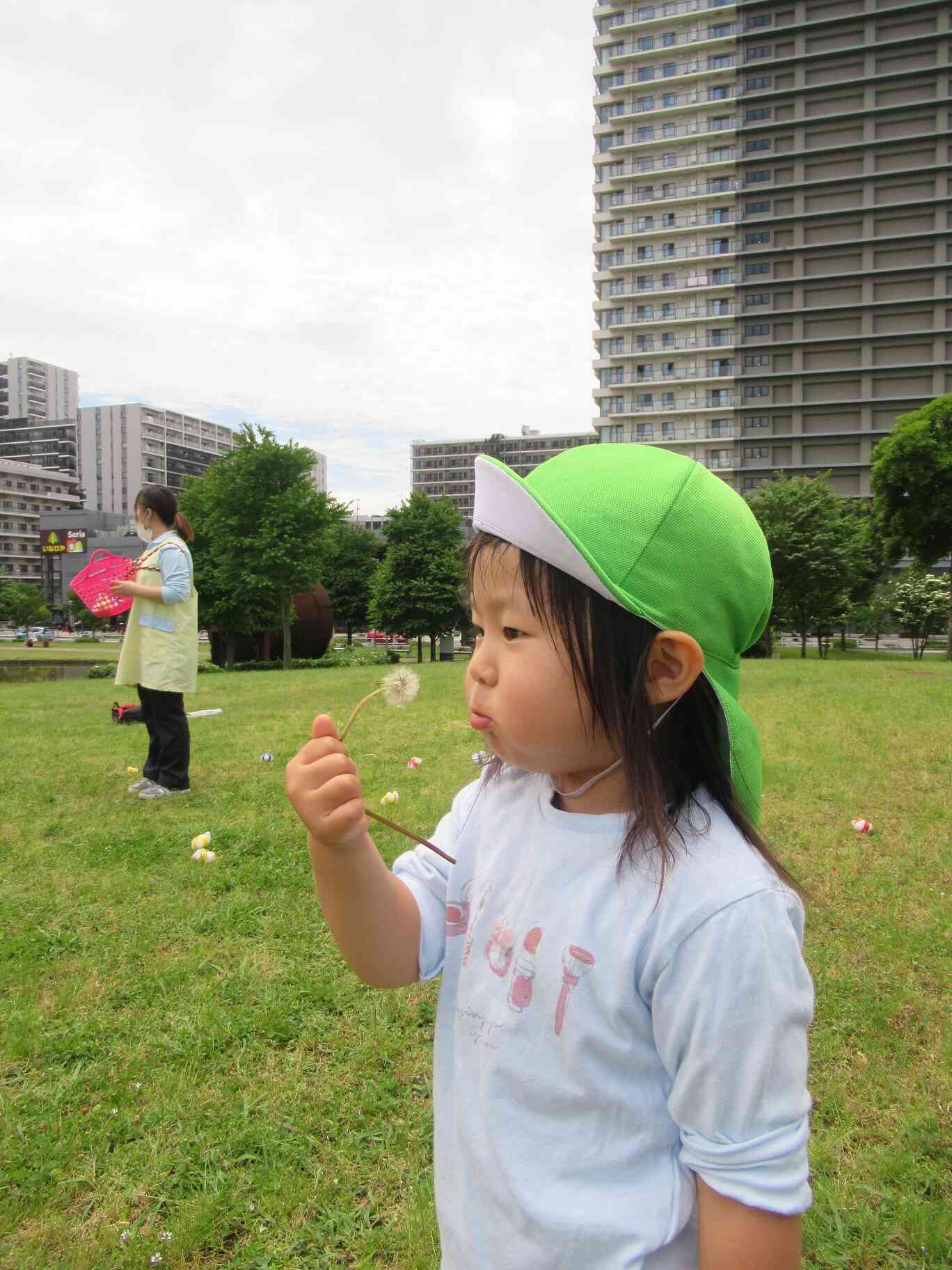 タンポポの綿毛、みーつけた♪