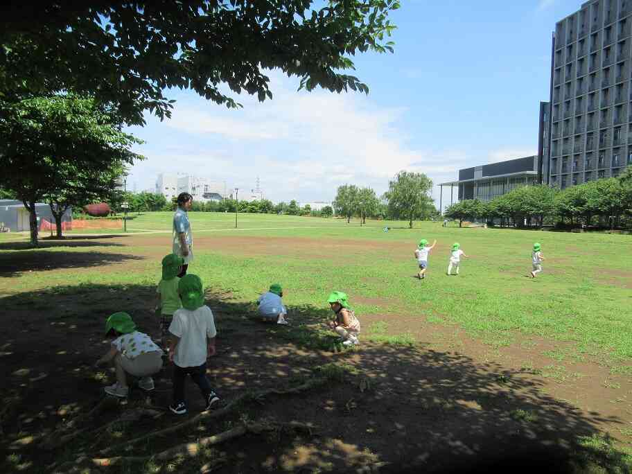 元気いっぱい！公園で遊ぶうさぎ組さん（2歳児クラス）