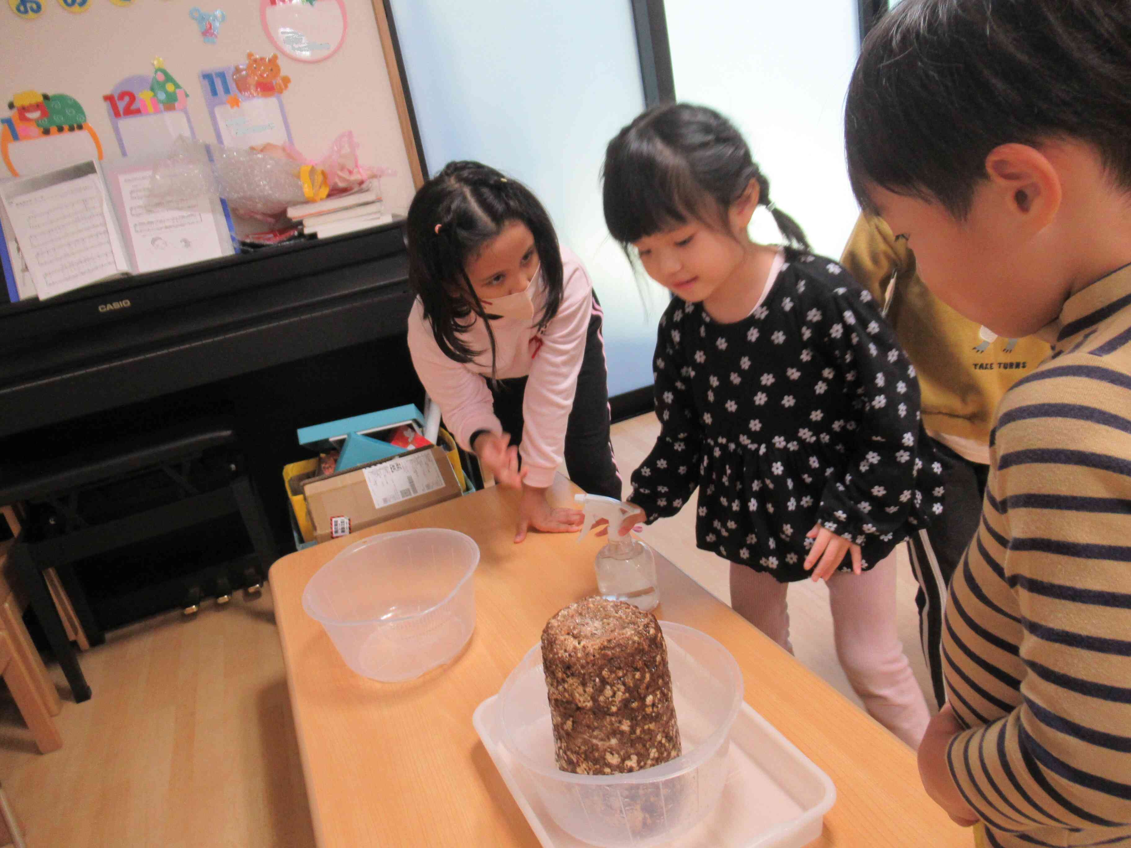 きのこを育てるよ