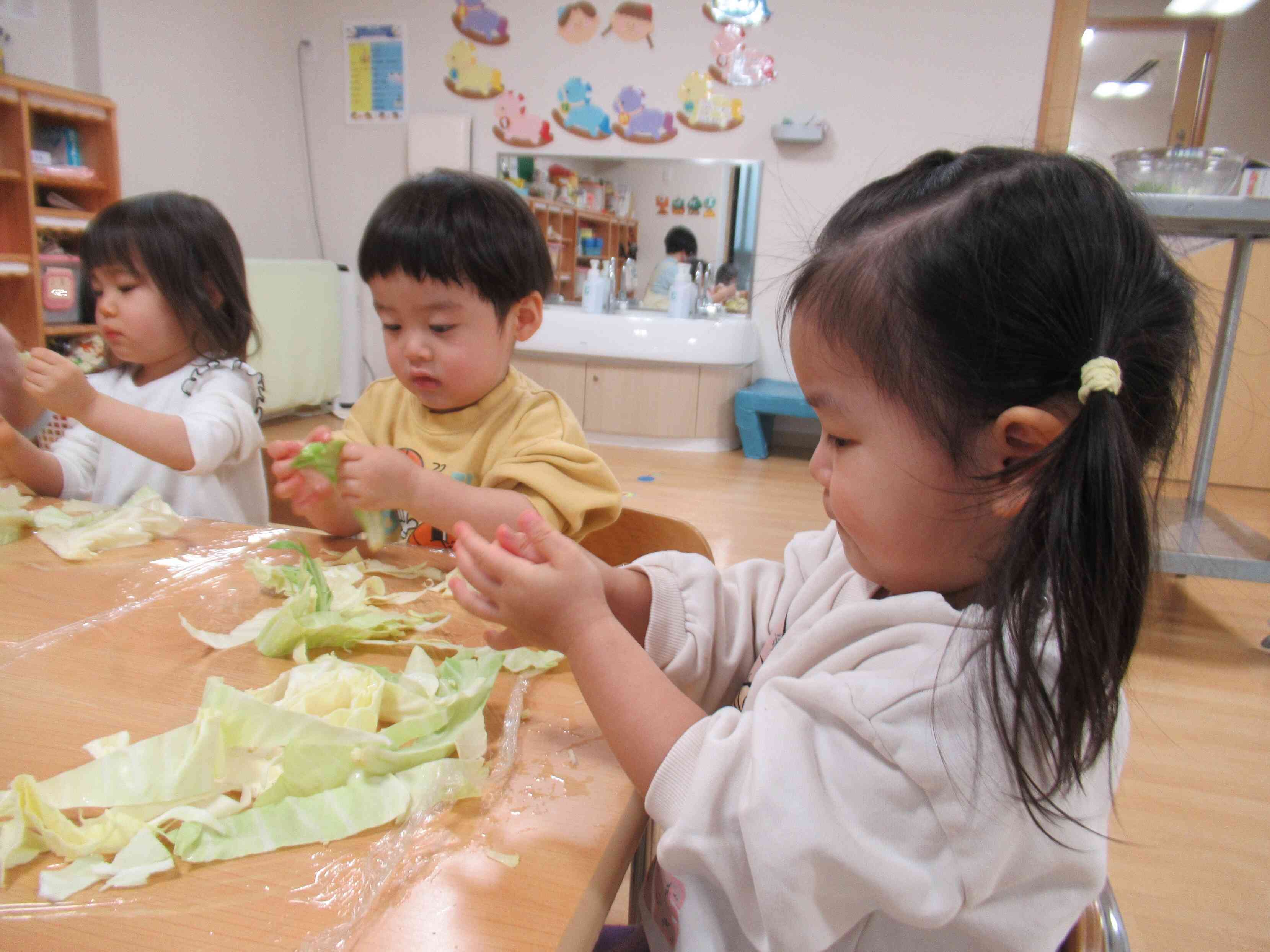 食育「きゃべつちぎりのお手伝い」