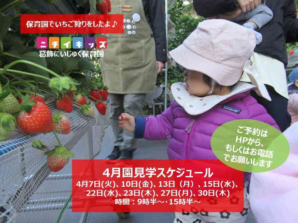 【NEW】4月園見学開催スケジュールです