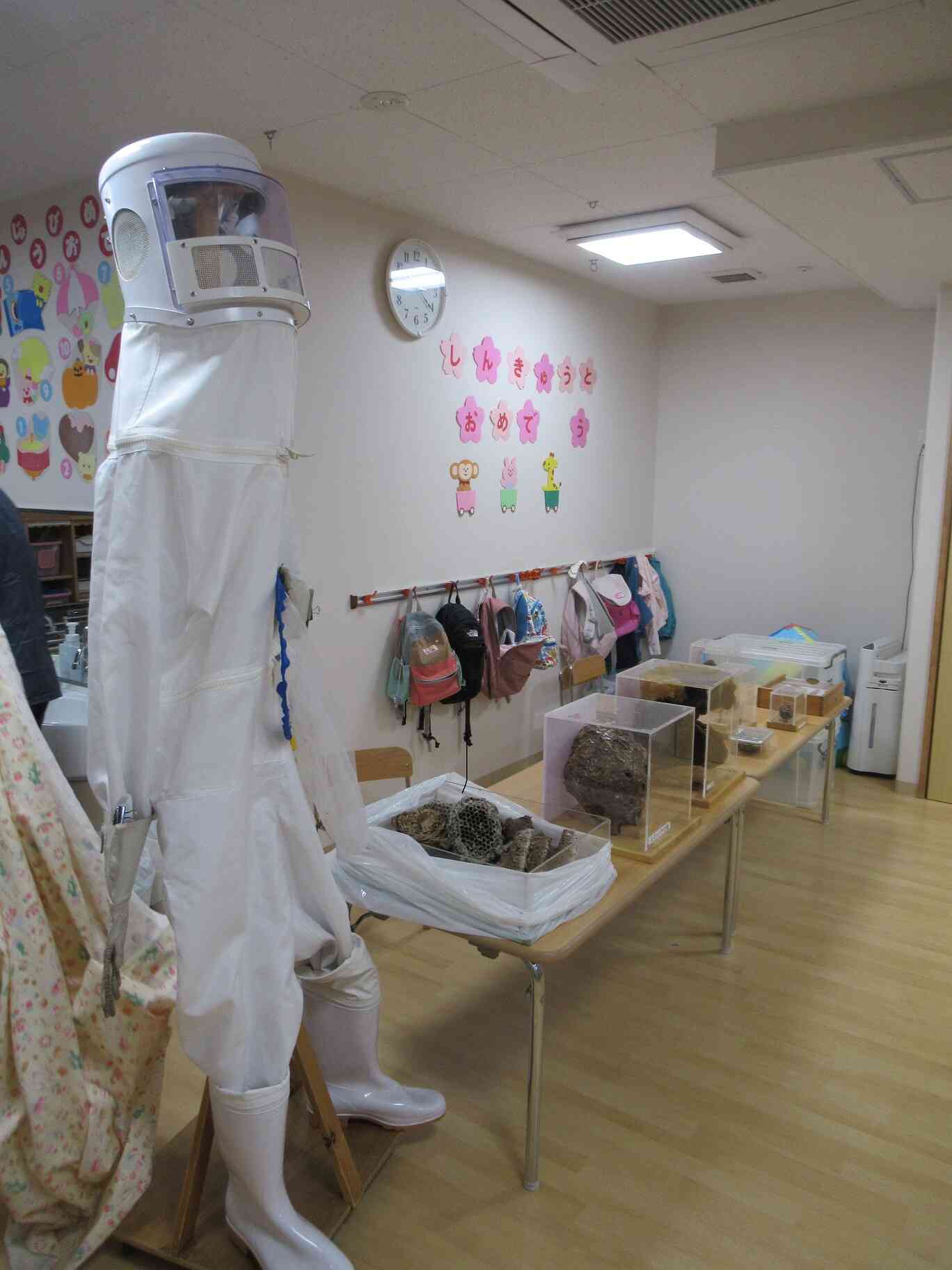 ハチの標本やハチの巣、ハチ駆除時の防護服も展示していただきました