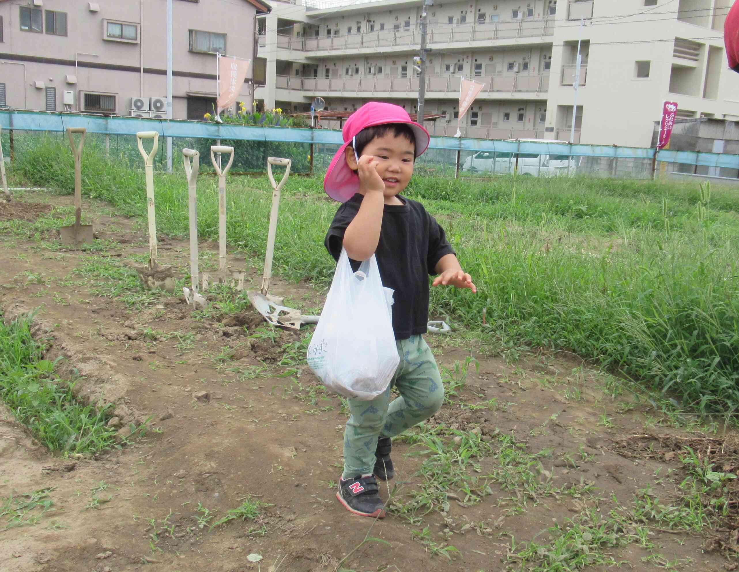 うさぎ組（2歳児クラス）の友だちもじゃがいも掘りに参加しました。たくさん採れてうれしいな♪