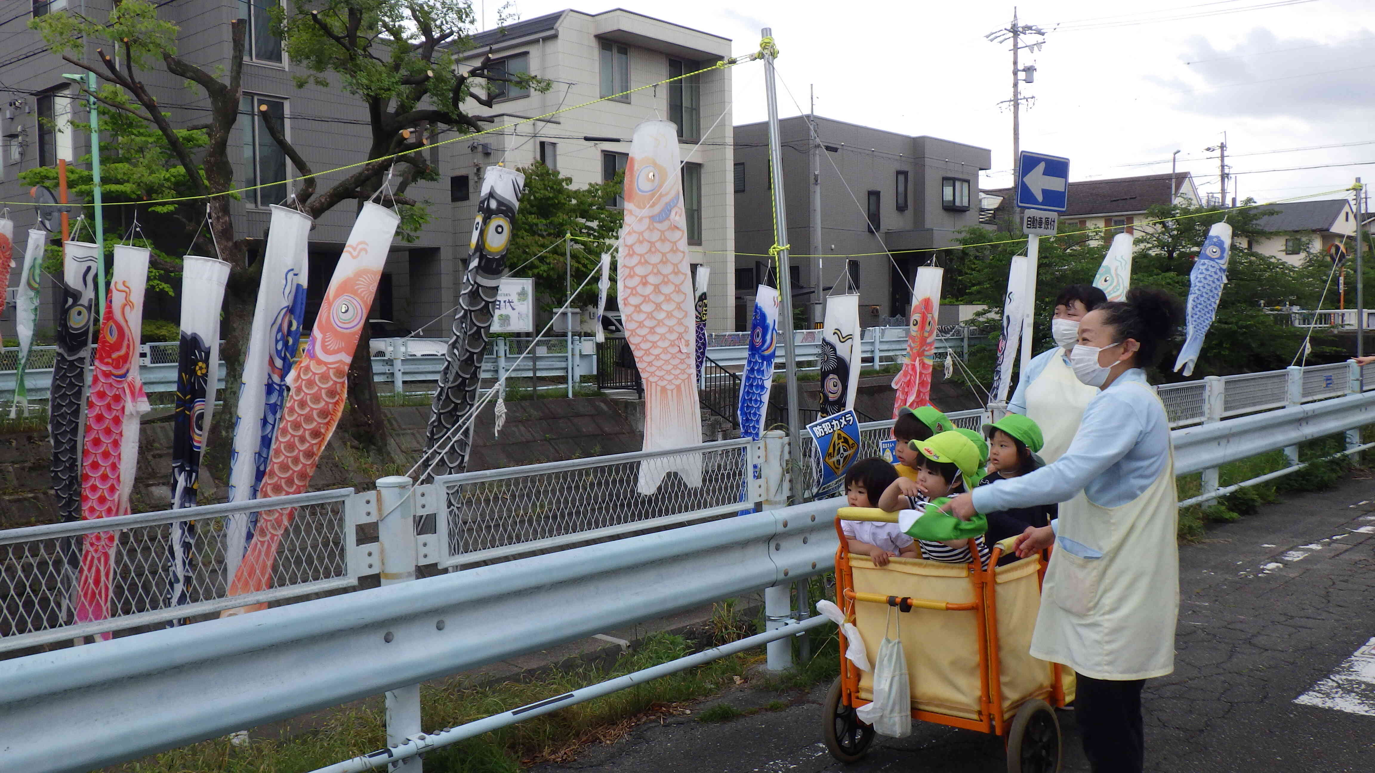 こいのぼり、みーつけた！
