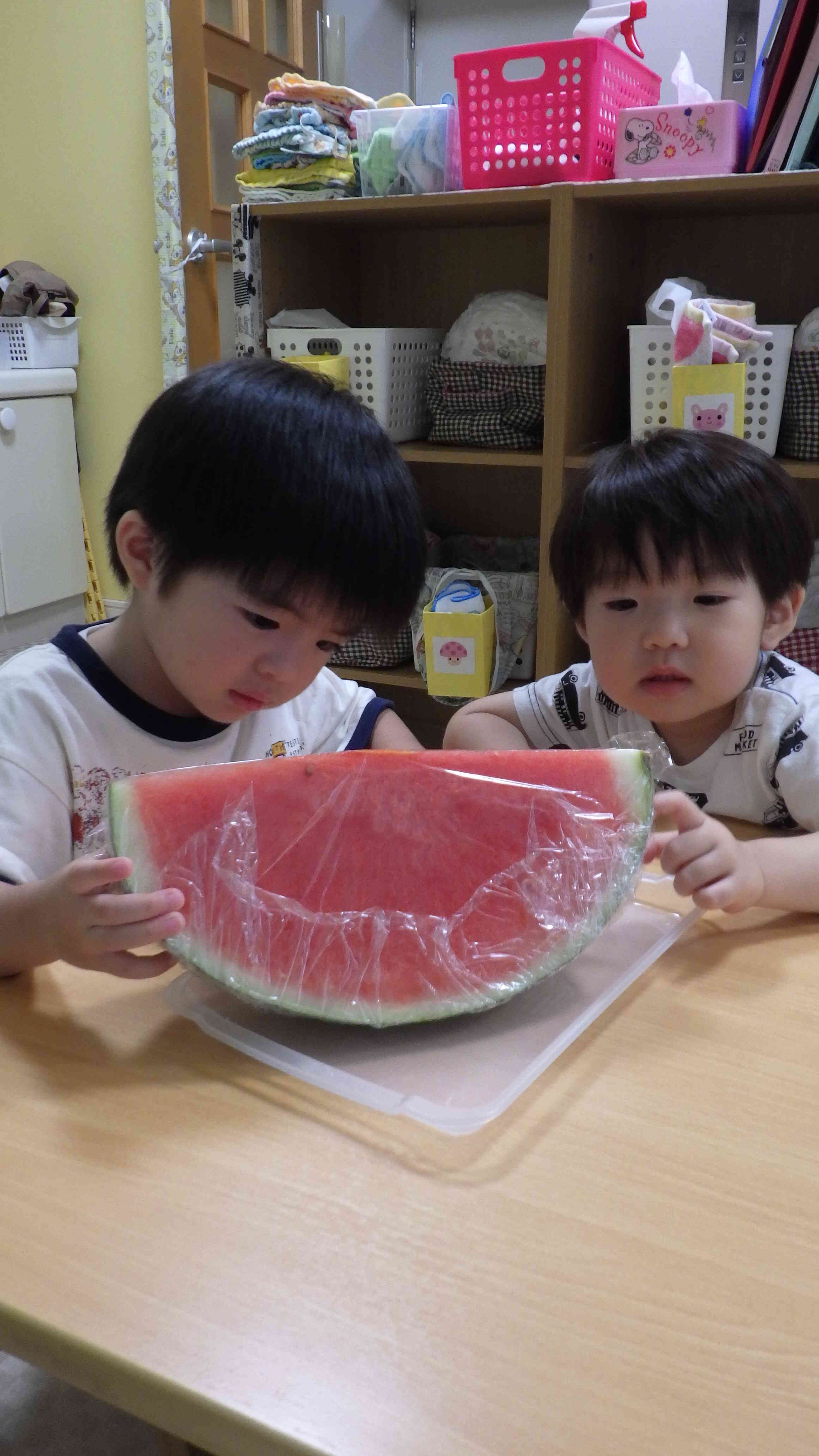 これなに？