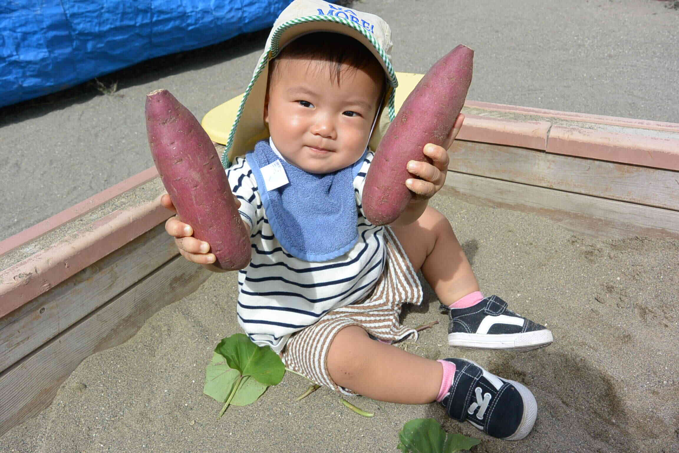 美味しそう♪