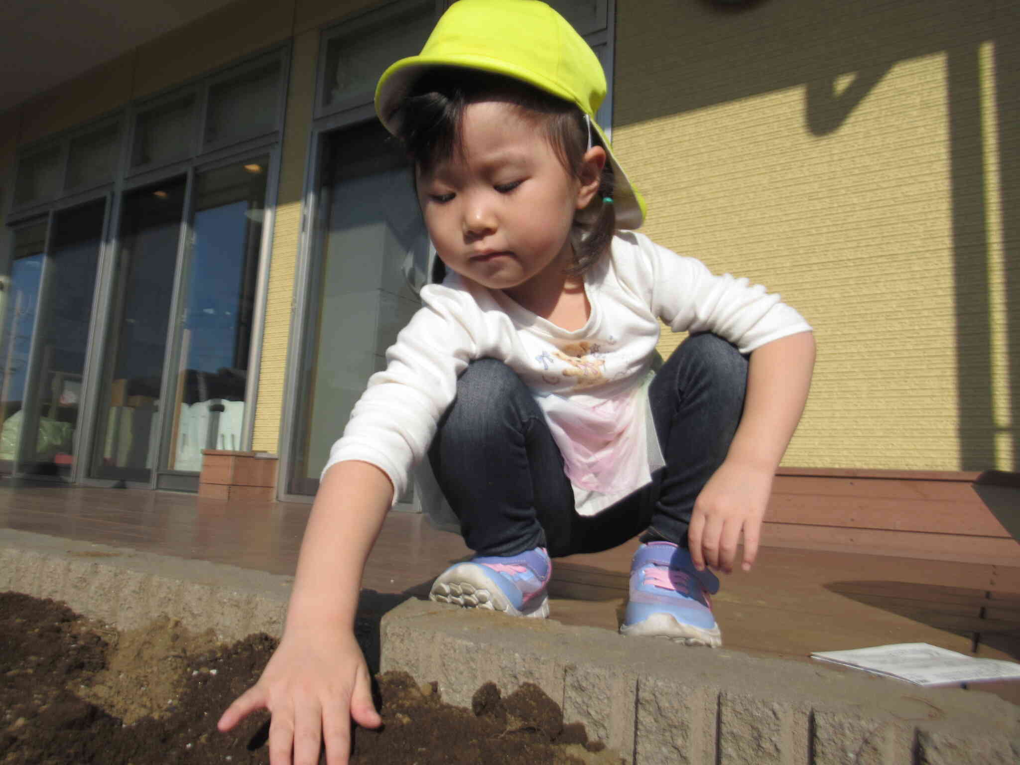球根が見えないように、上手に土をかぶせています。(4歳児)