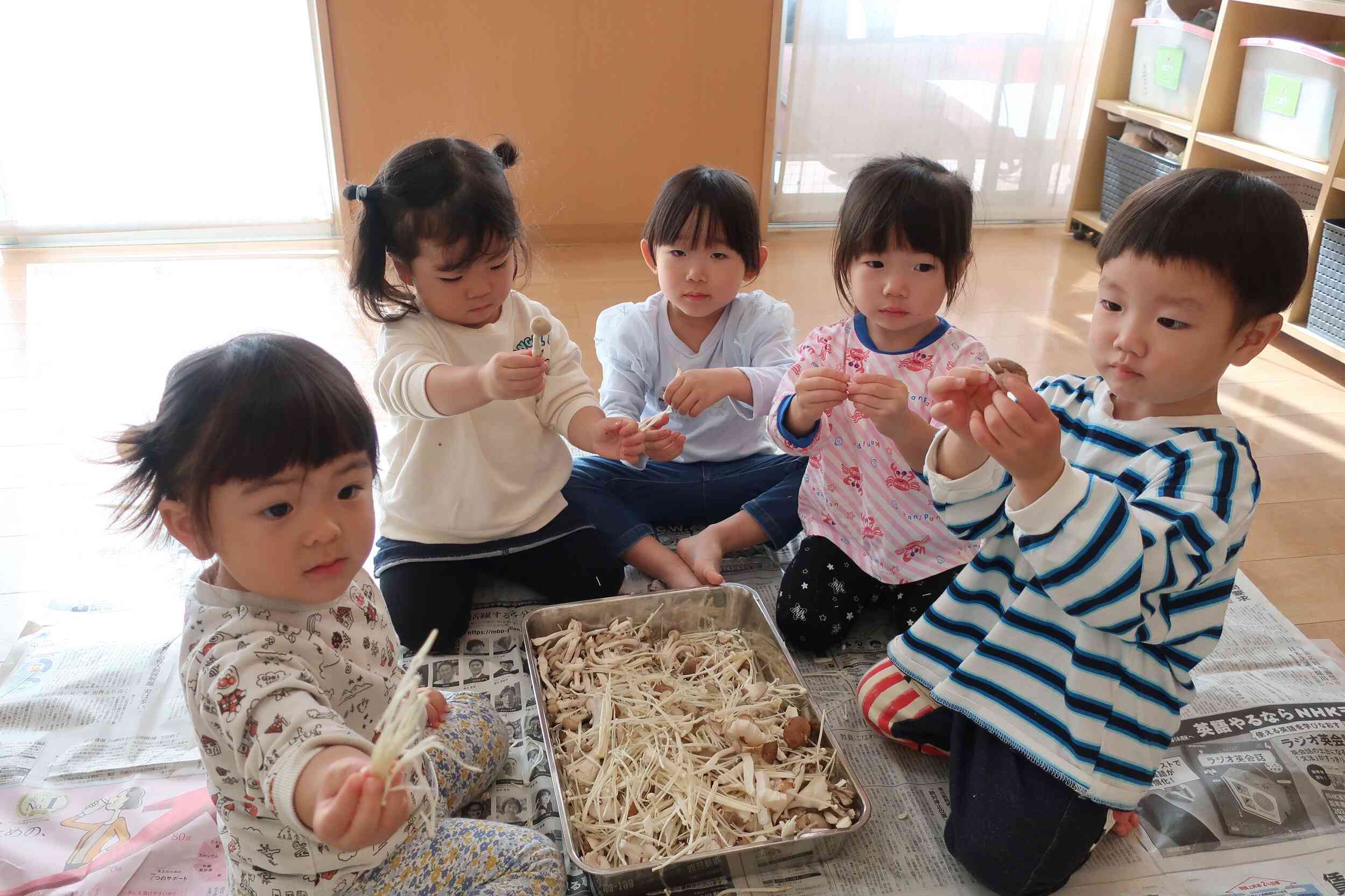 秋の味覚　きのこ裂き‼上手にきのこを裂くことができました。　たんぽぽ組（1,2歳児）