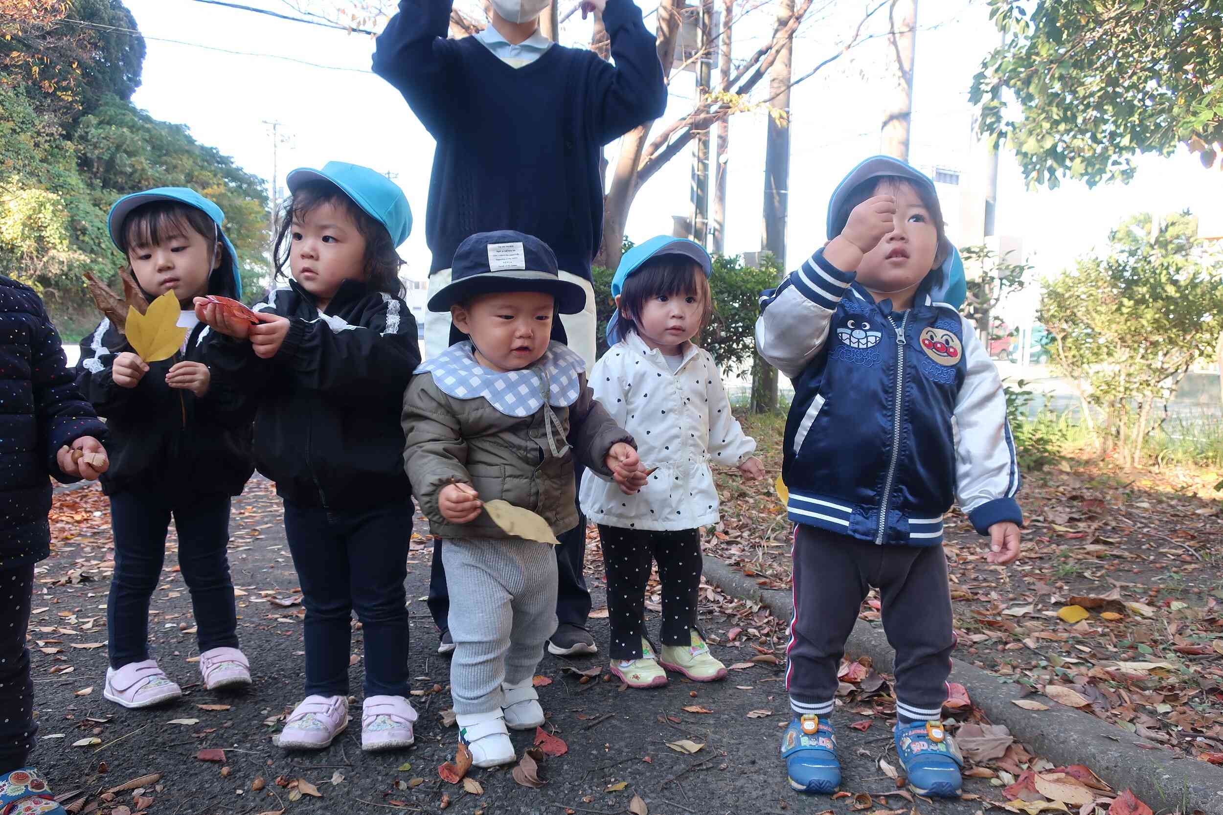 どんぐり公園で秋見つけ‼はっぱを沢山見つけたよ。　たんぽぽ組（1,2歳児）すみれ組（0歳児）