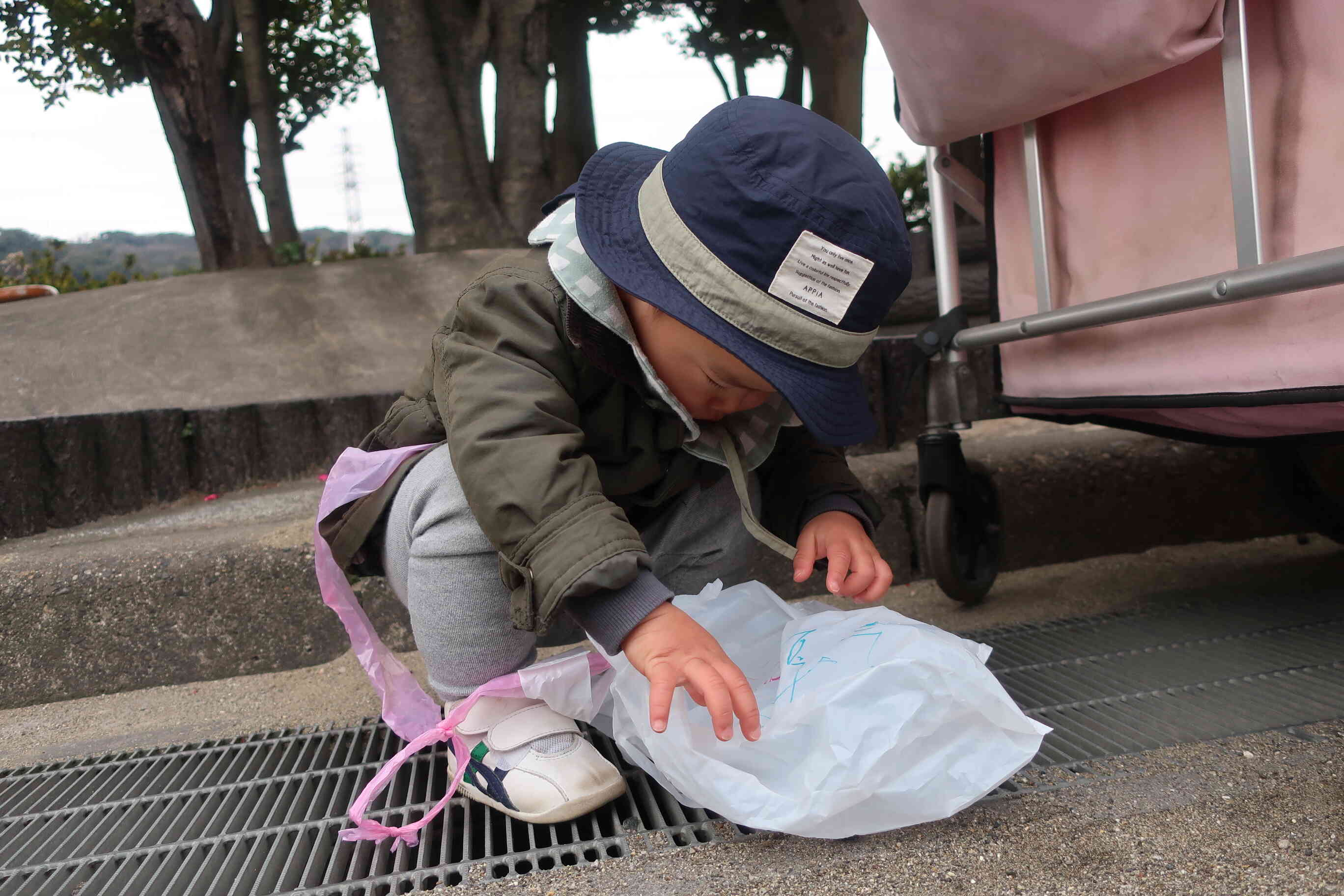 穴に入るかな？