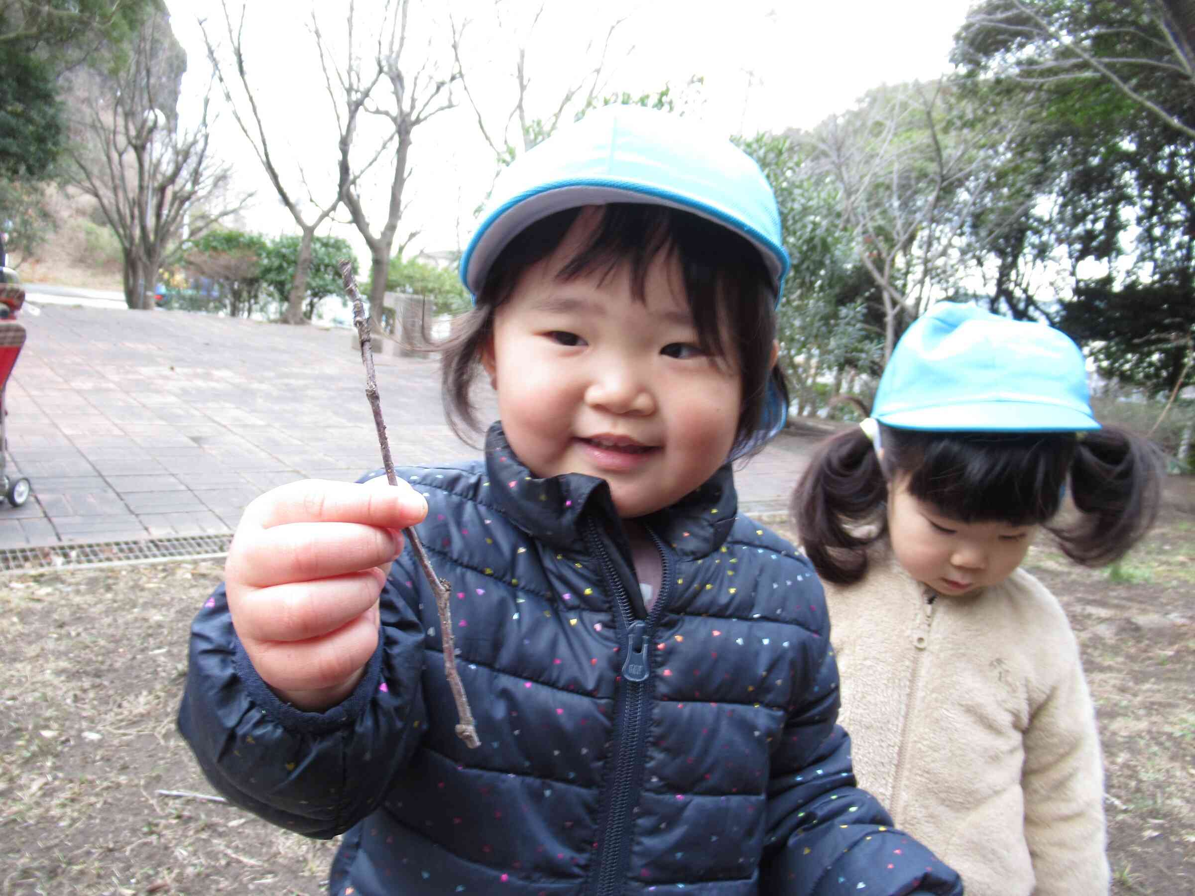 長い枝を見つけたよ！