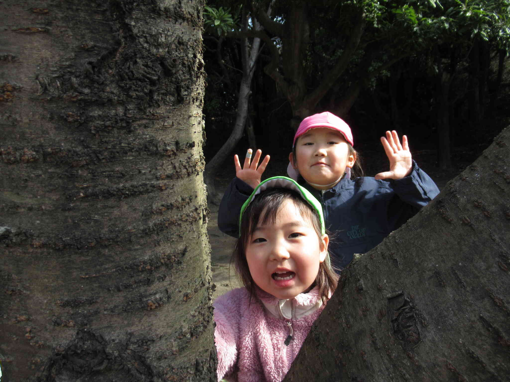 木の間からばあっ！(２歳児・５歳児)