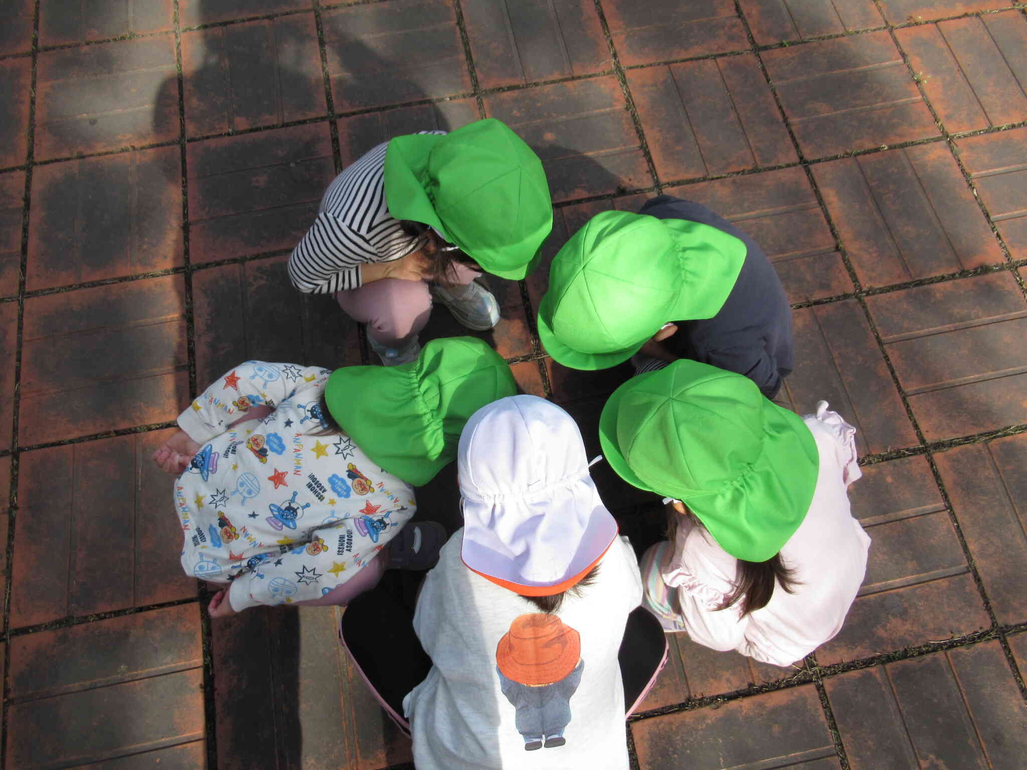 2組さんが何かを発見‼何があるのか教えてー。　たんぽぽ2組（2歳児）