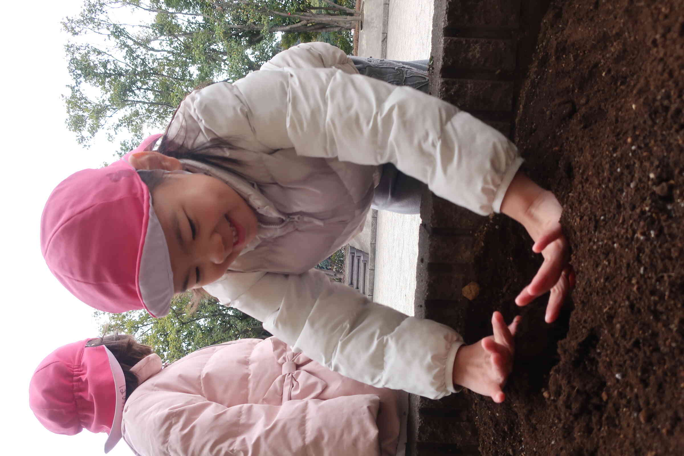 ジャガイモ植え(さくら組３・４・５歳児)