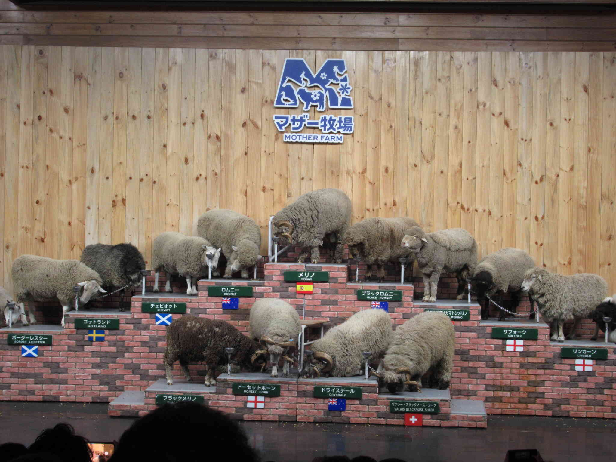 楽しい一日でした。