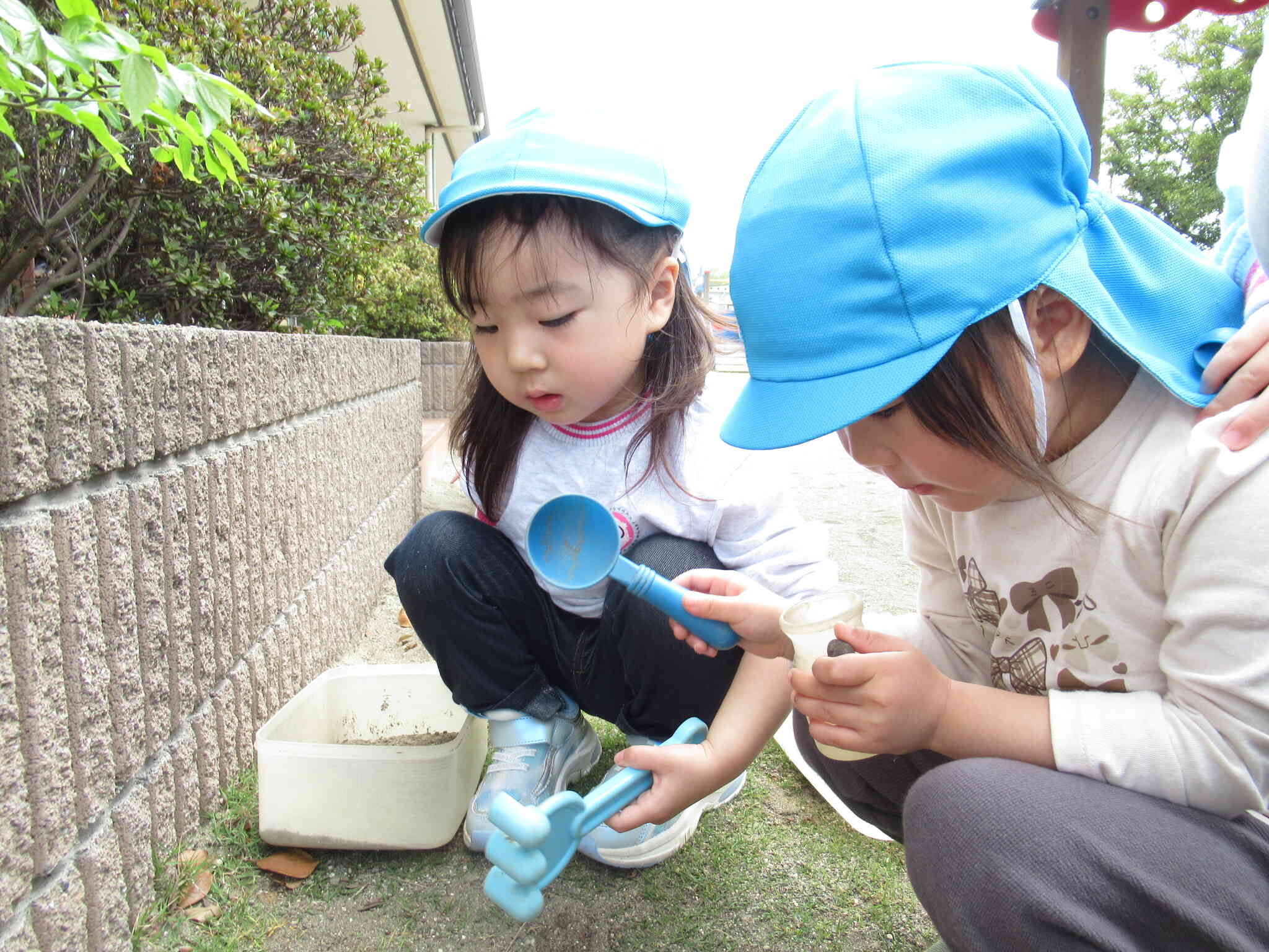 園庭の隅っこで何か発見‼アリさんかな？