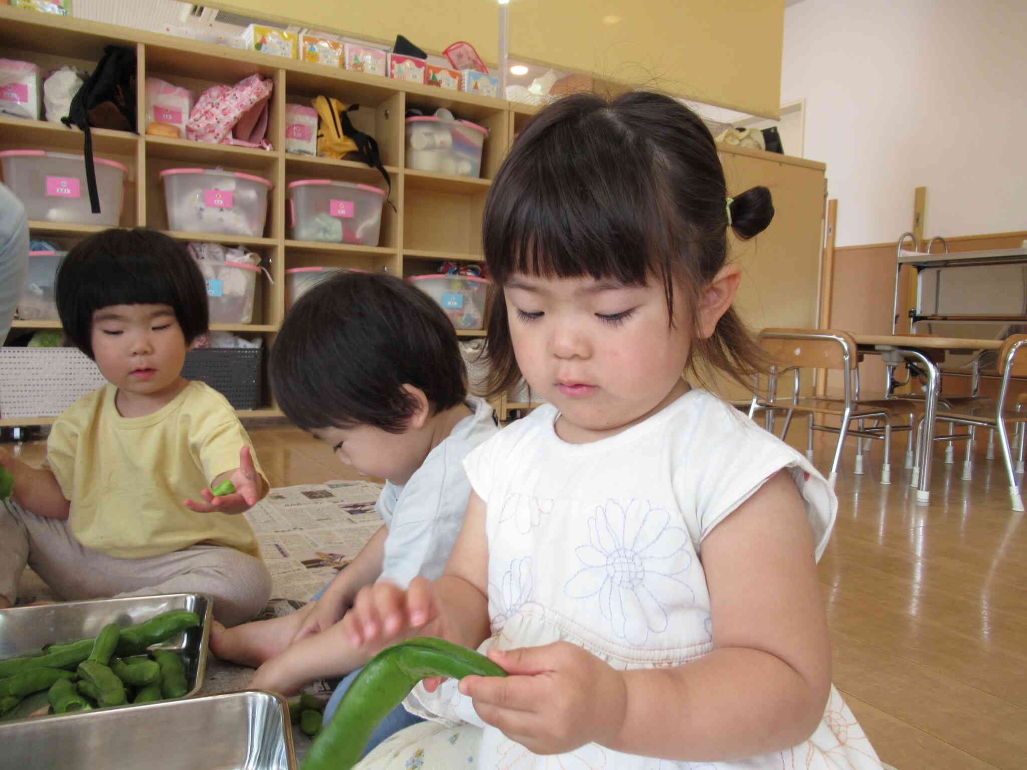 そら豆の鞘むきをしました。上手にむけるかな？たんぽぽ２組（２歳児）