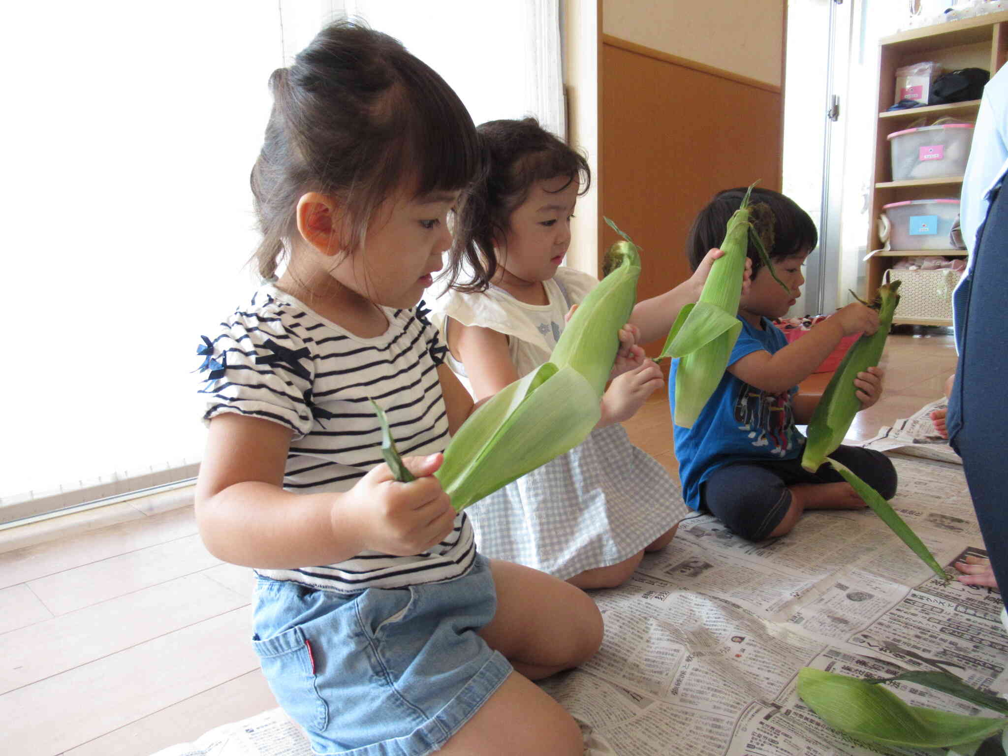 とうもろこしの皮むきをしました。上手に皮が剥けました‼　たんぽぽ2組（２歳児）