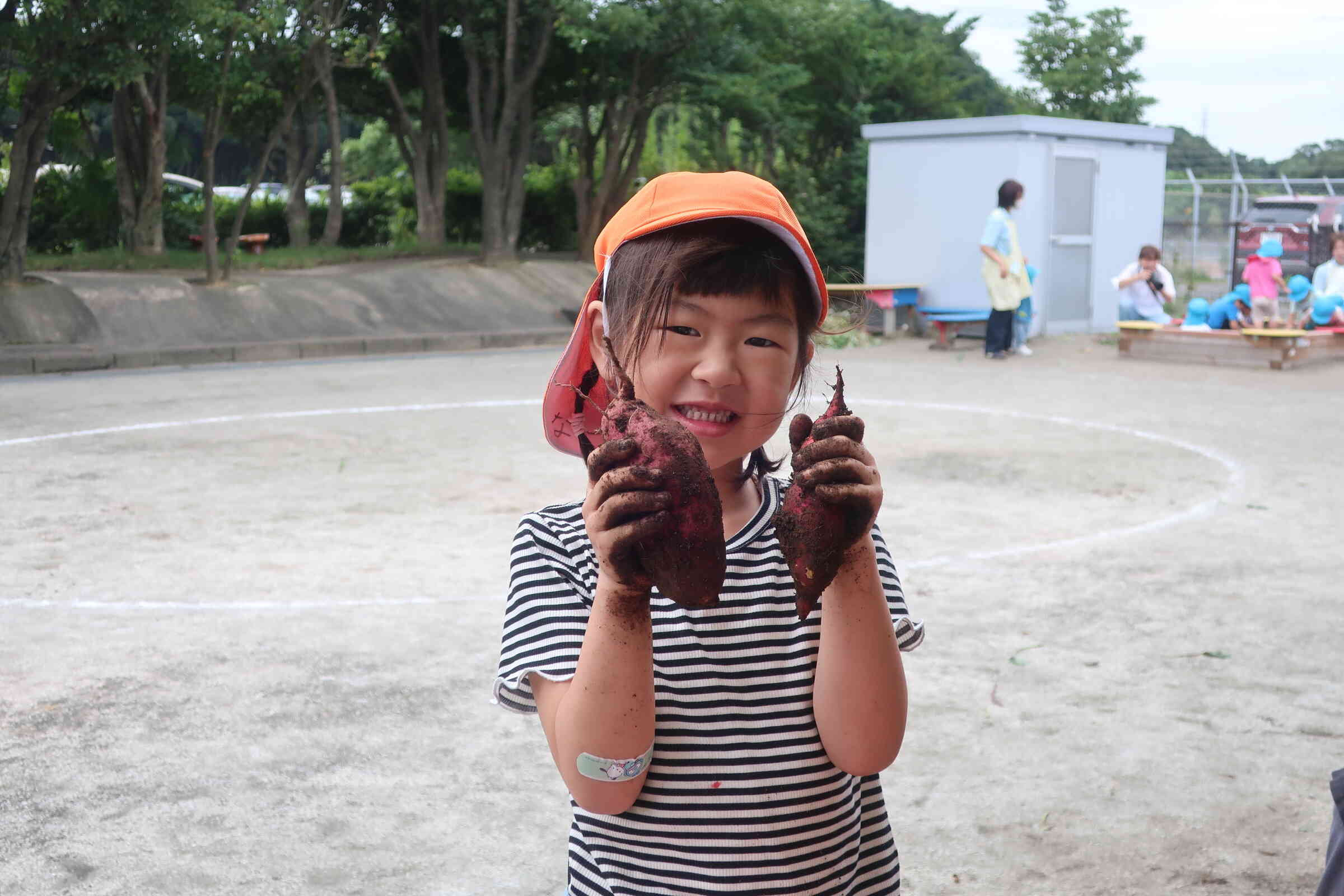 上手においもが掘れました‼　　さくら組（4歳児）