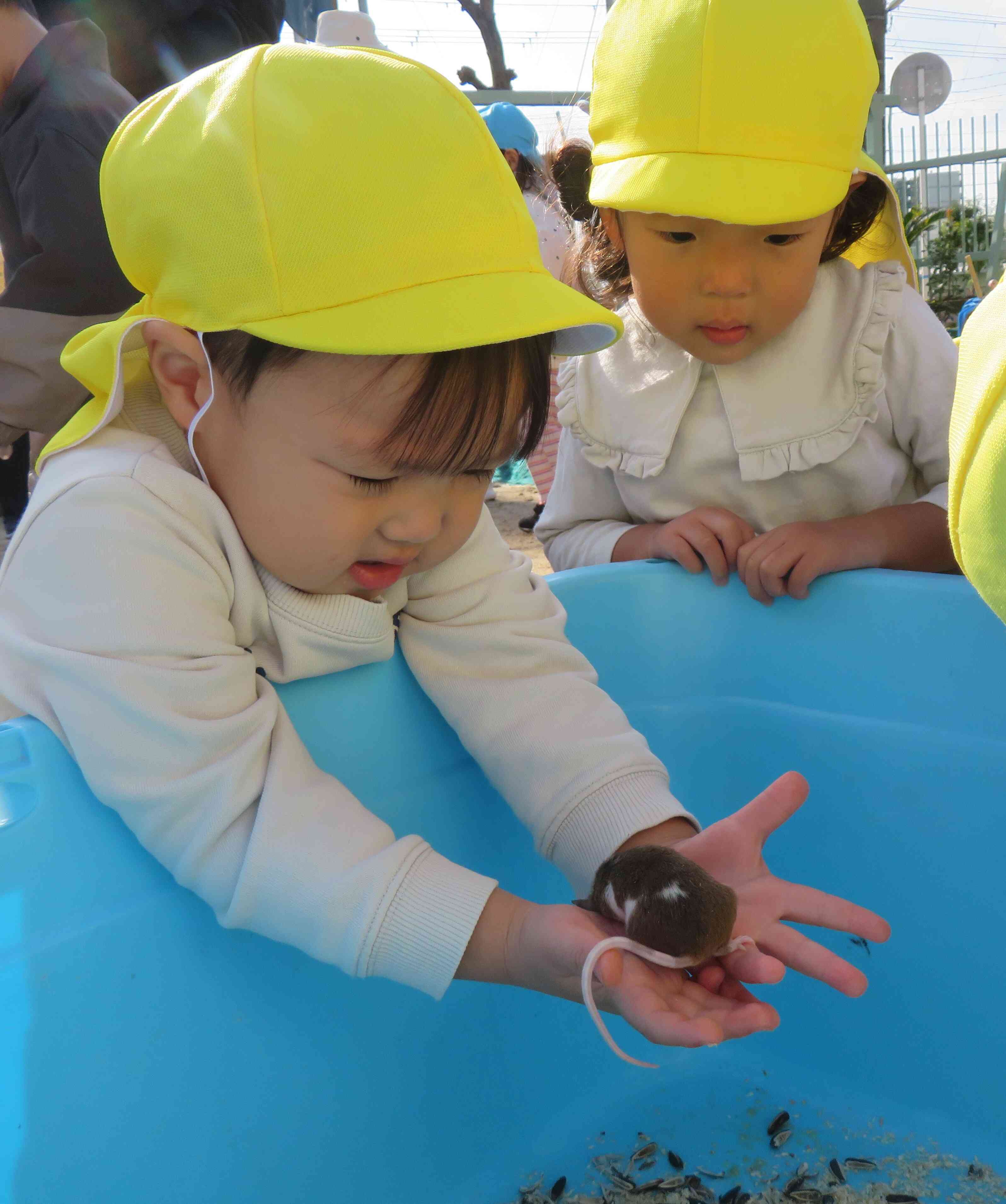 移動動物園(2歳児・うさぎぐみ)