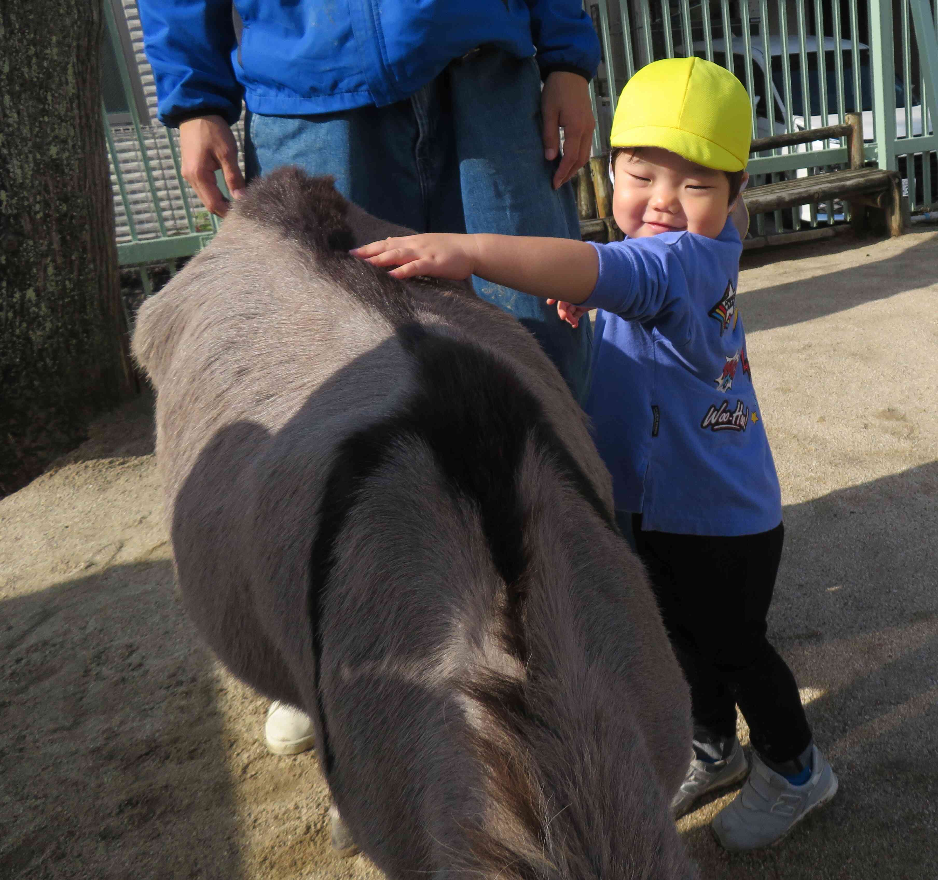 ロバさん大きい～！