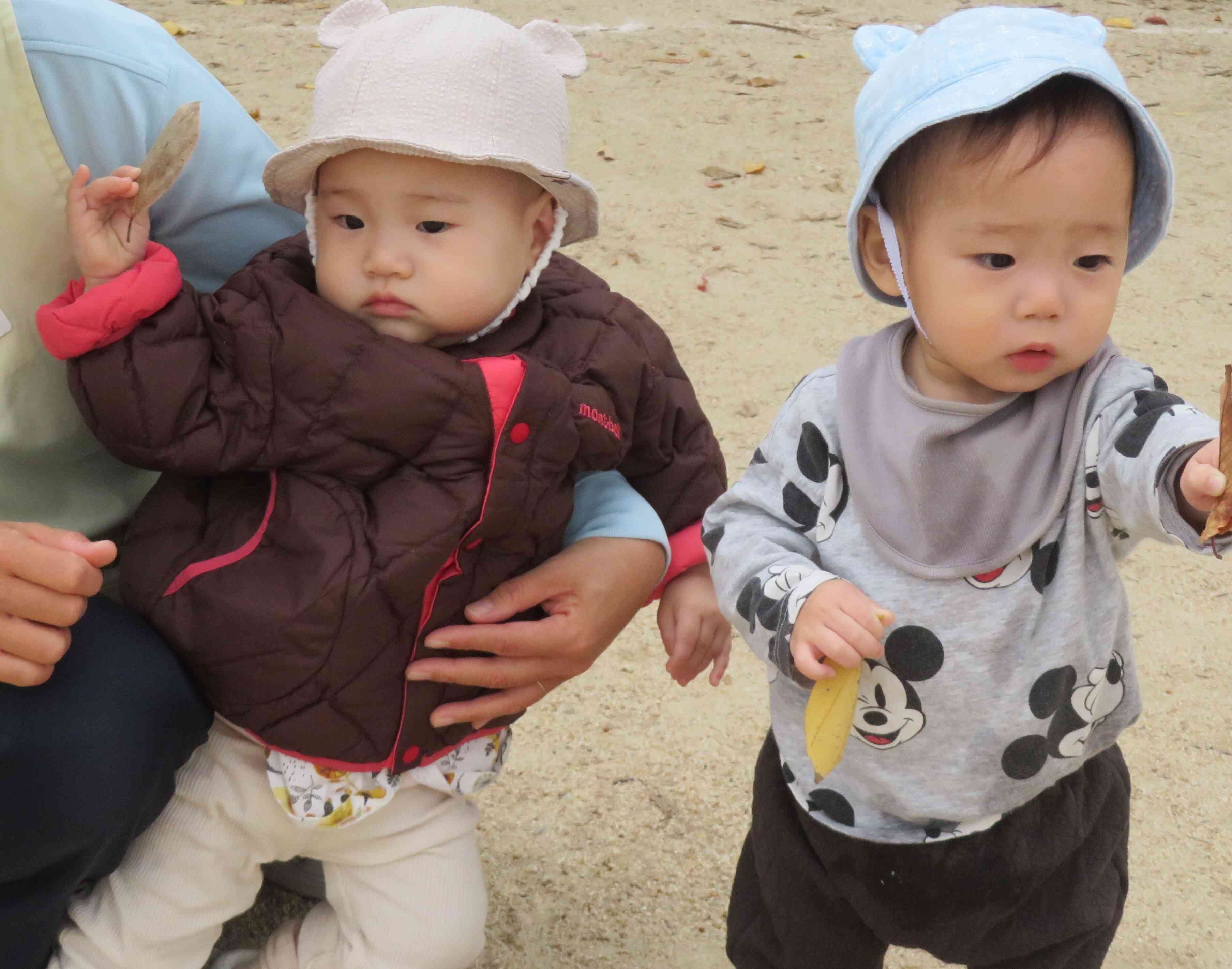 落ち葉があったね