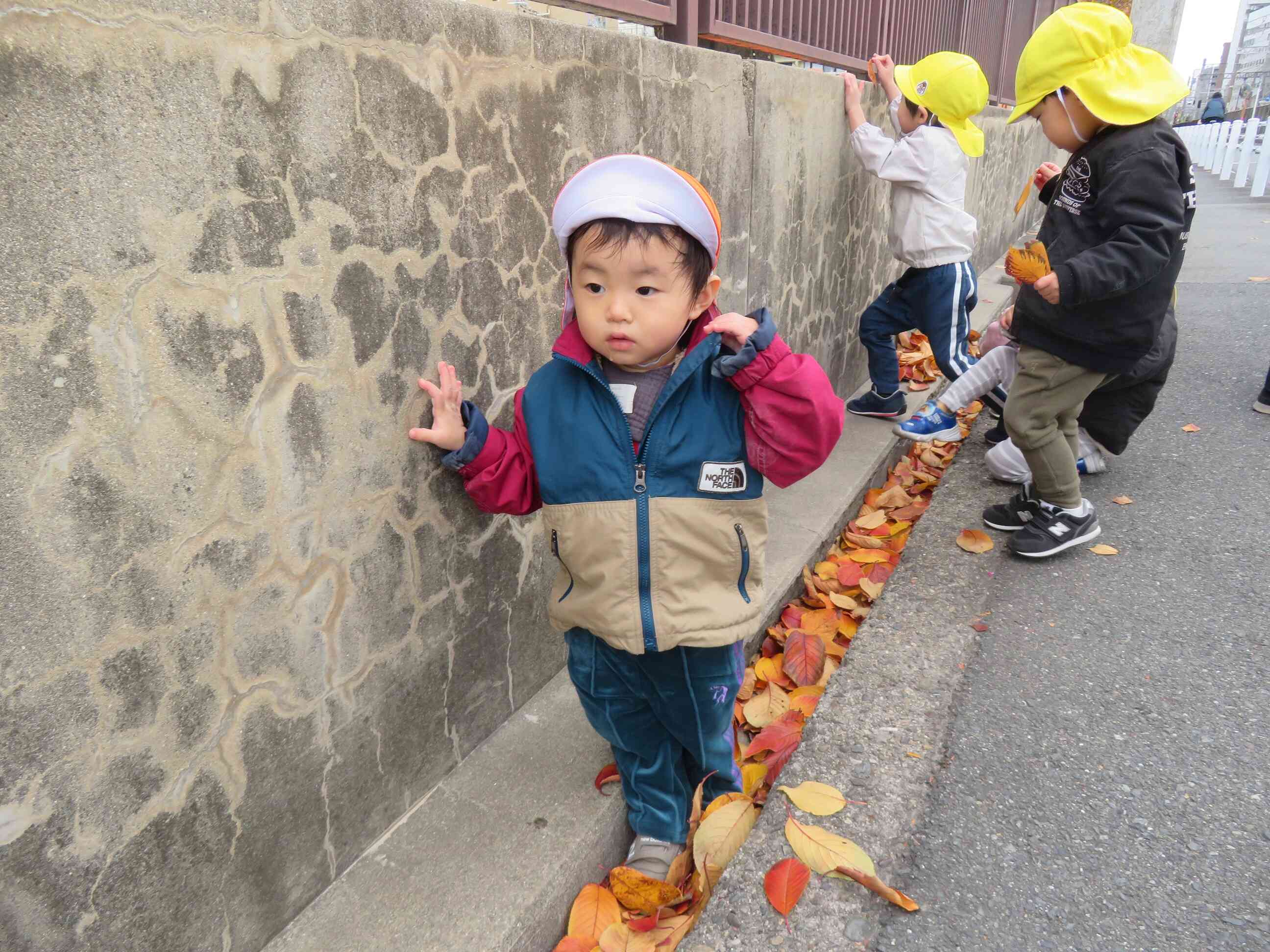 しゃかしゃかいい音♪