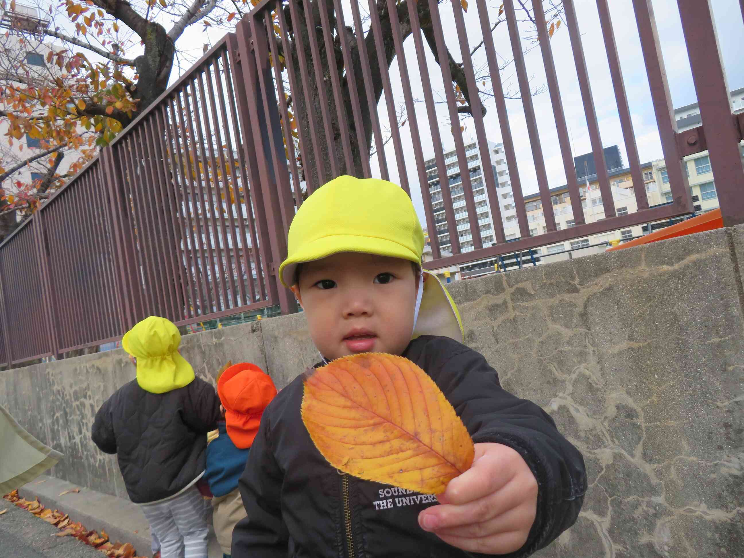 きれいな落ち葉発見！