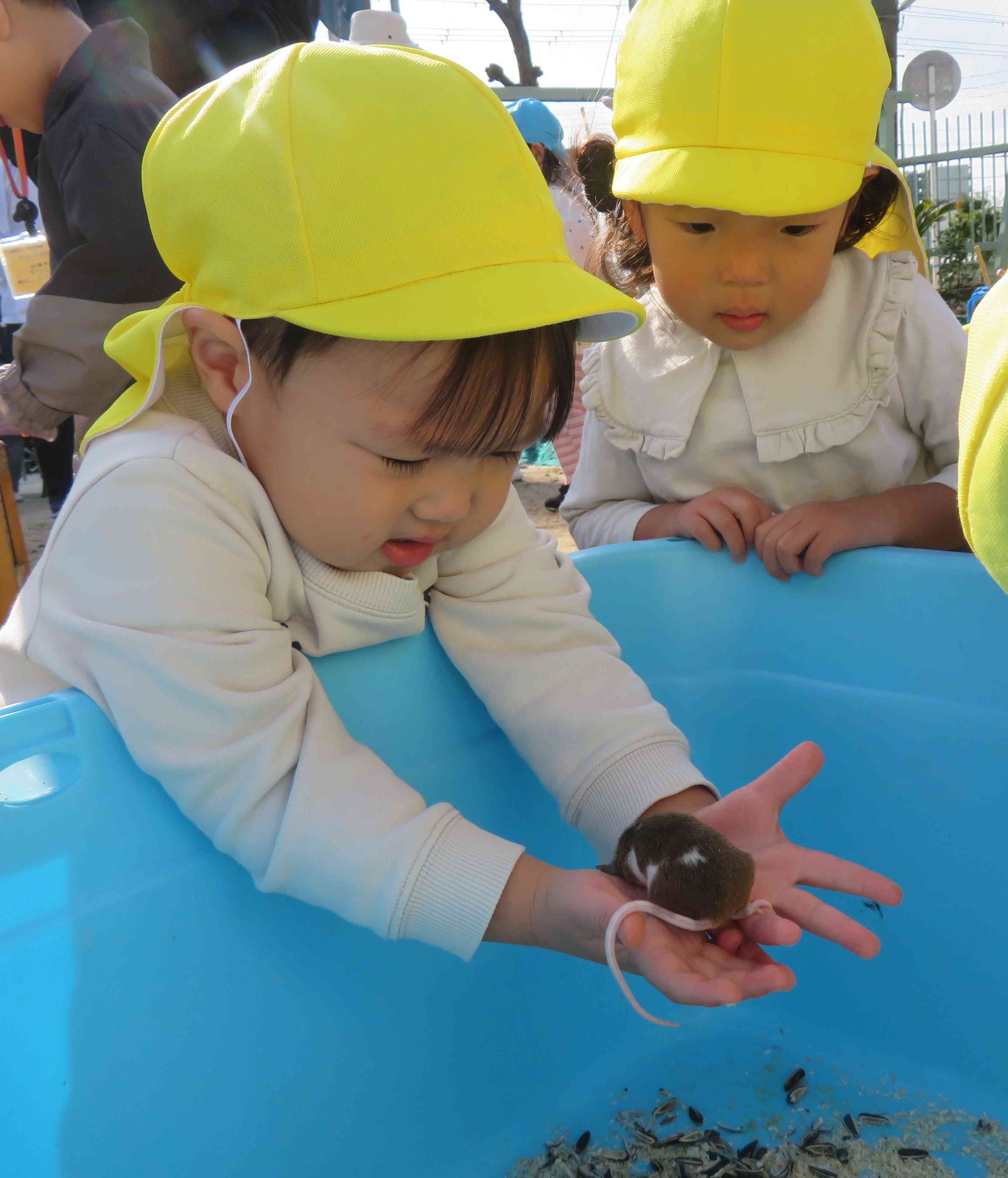 連携園（あけみ幼稚園さん）の行事に参加させて頂きました。