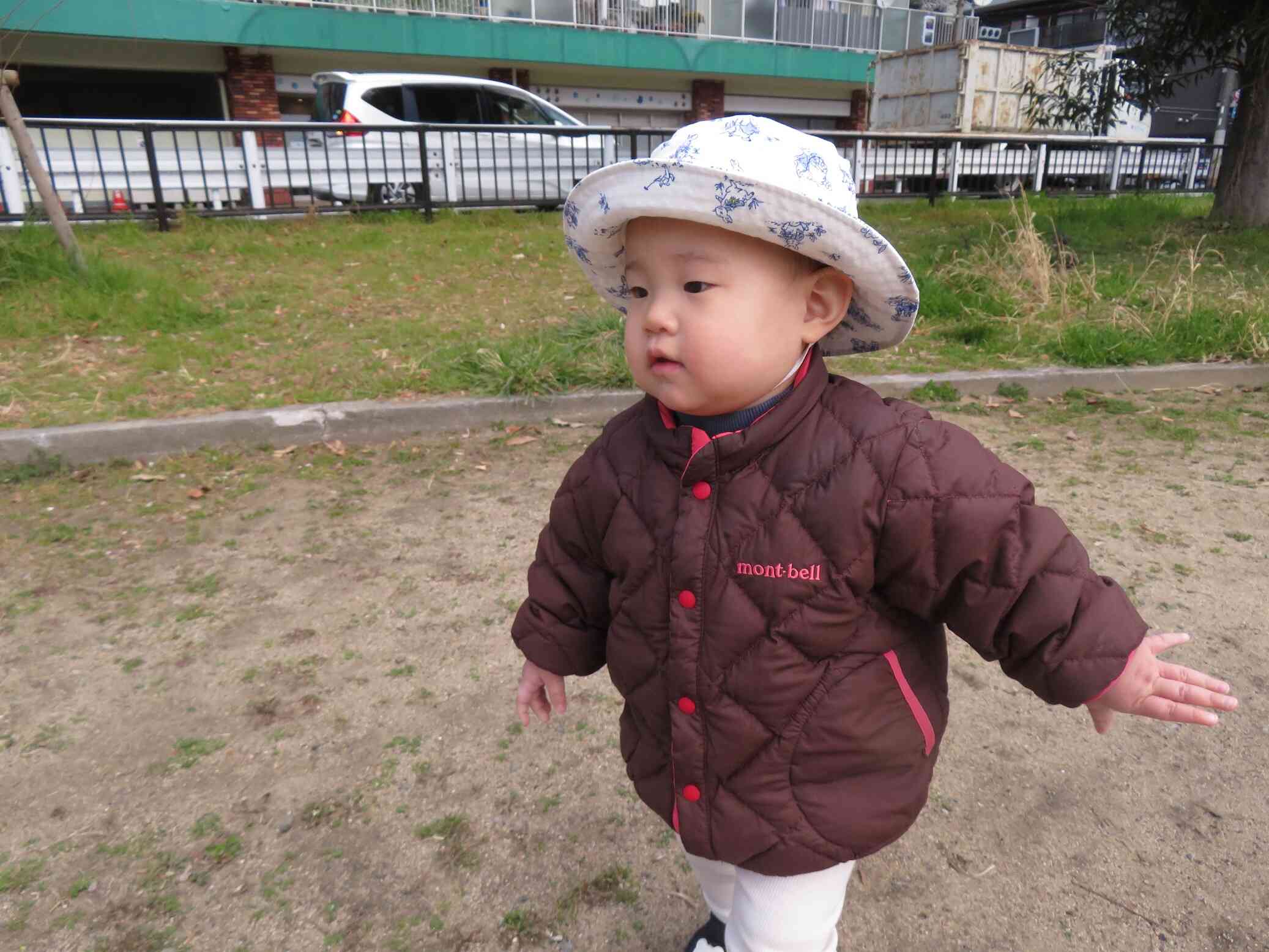 どんぐりあるかな～