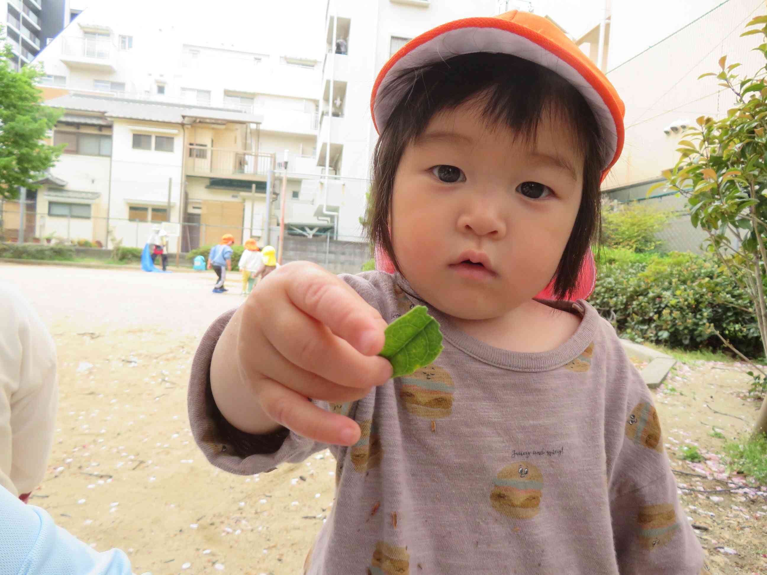 いいものみーつけた♪