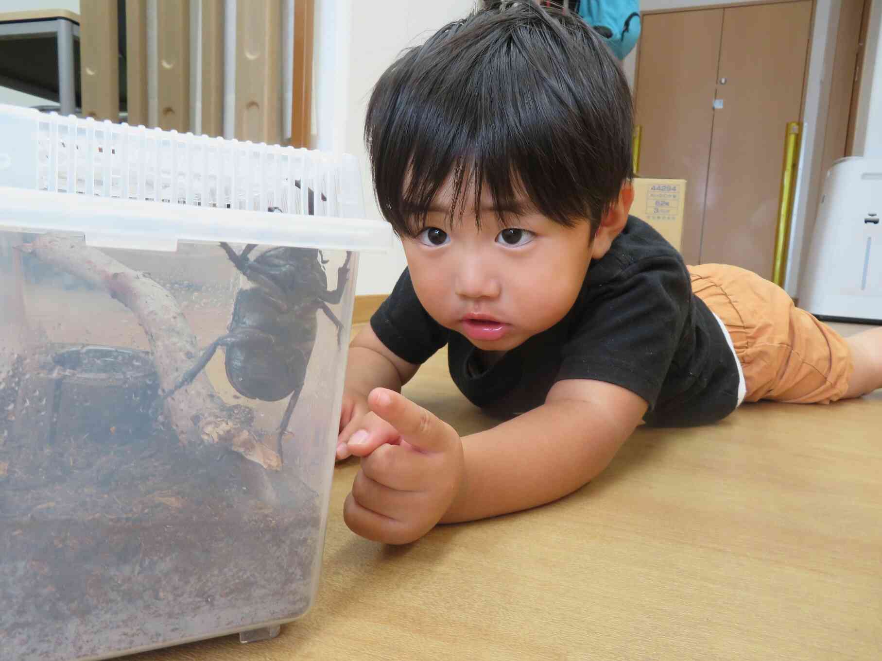 おもいっきり学ぶ・・・