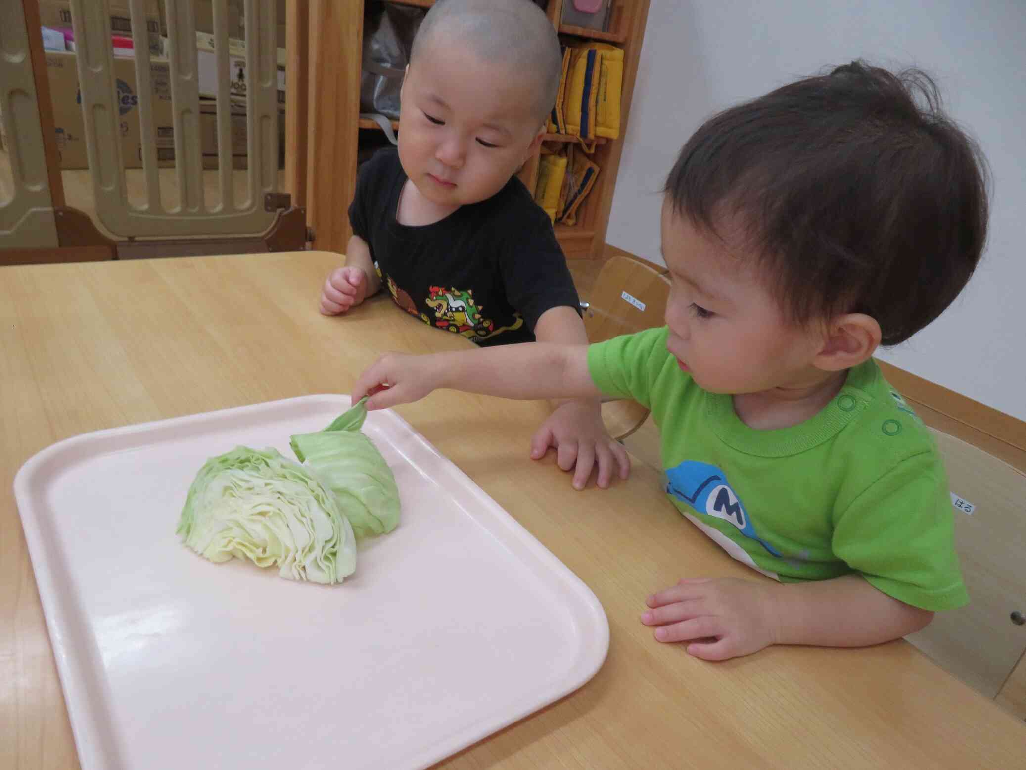 食育☆野菜ちぎり