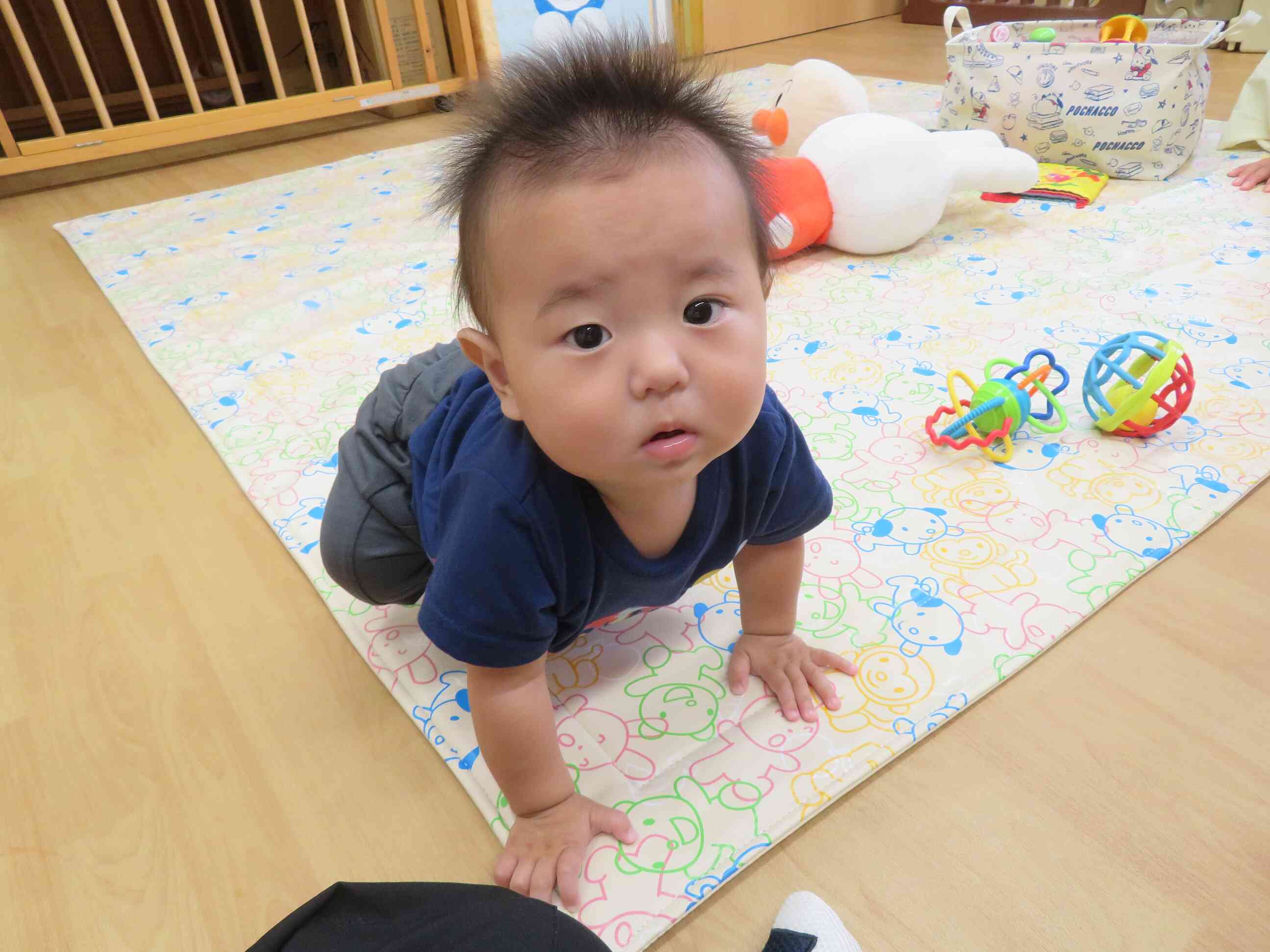 はじめまして♪