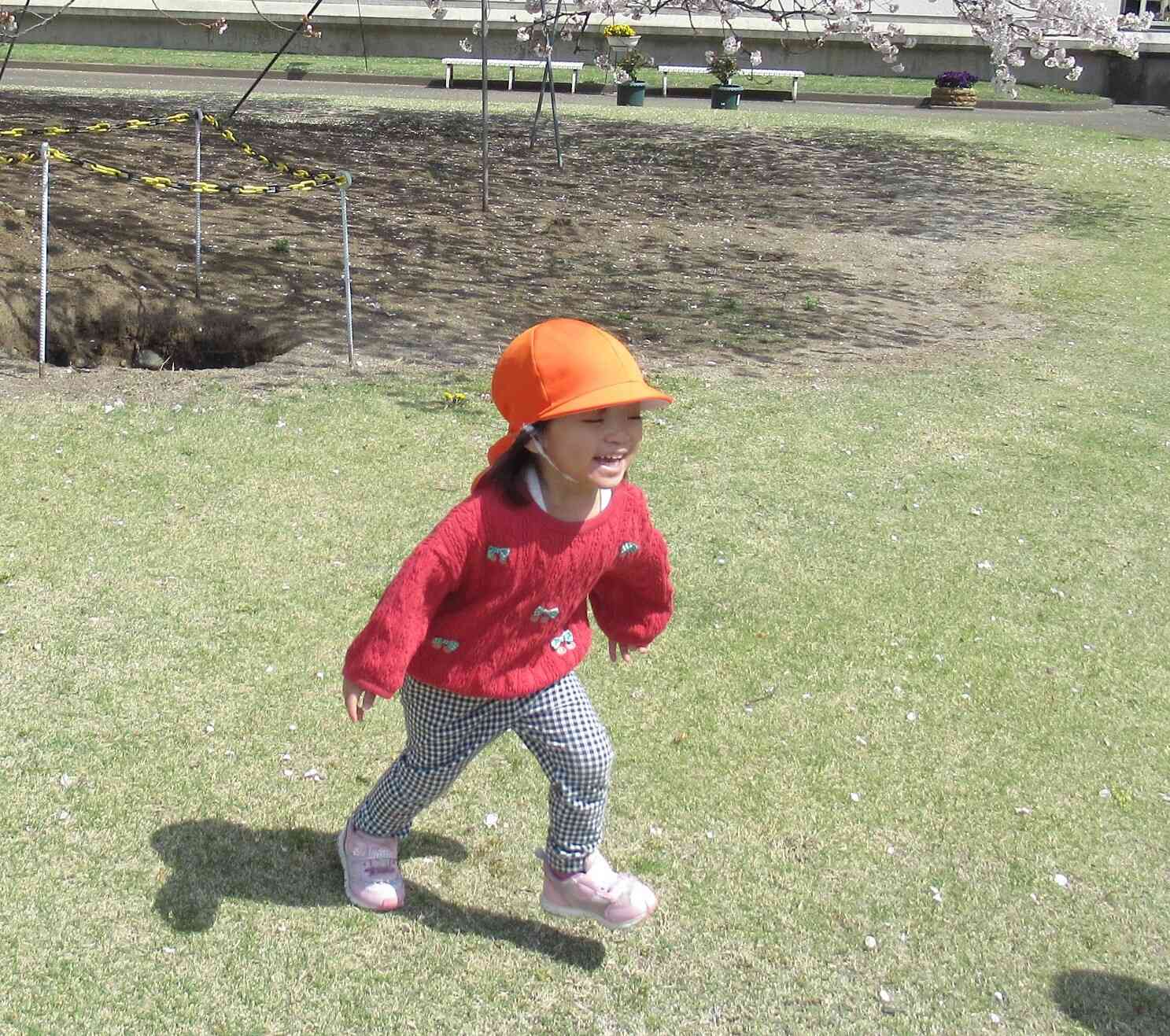 ３歳児さんは、桜の木の下でよーいドン！！