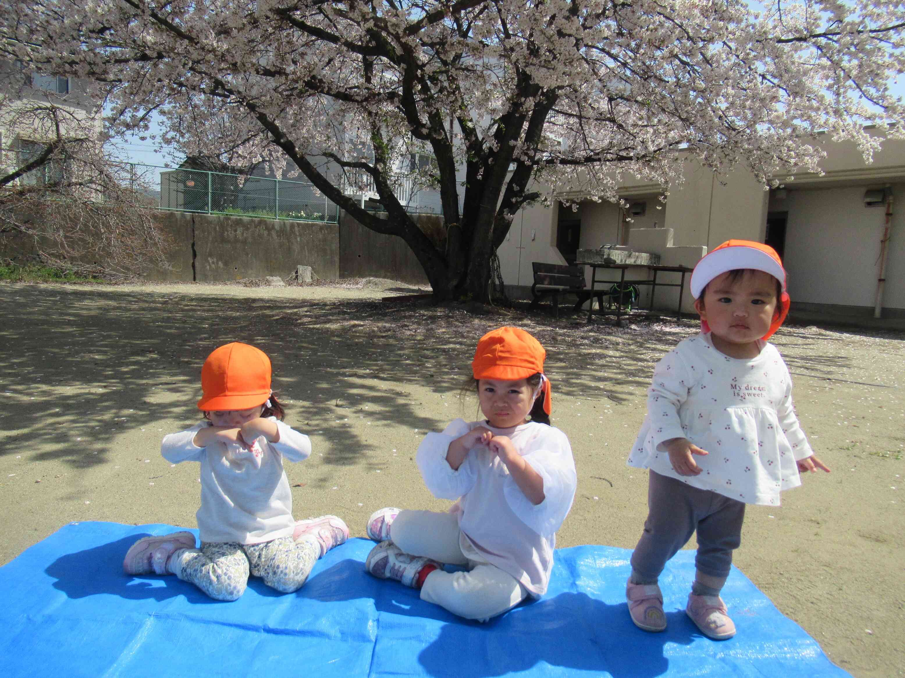 農村広場では、シートを広げて、さあ、今からおやつの時間です。