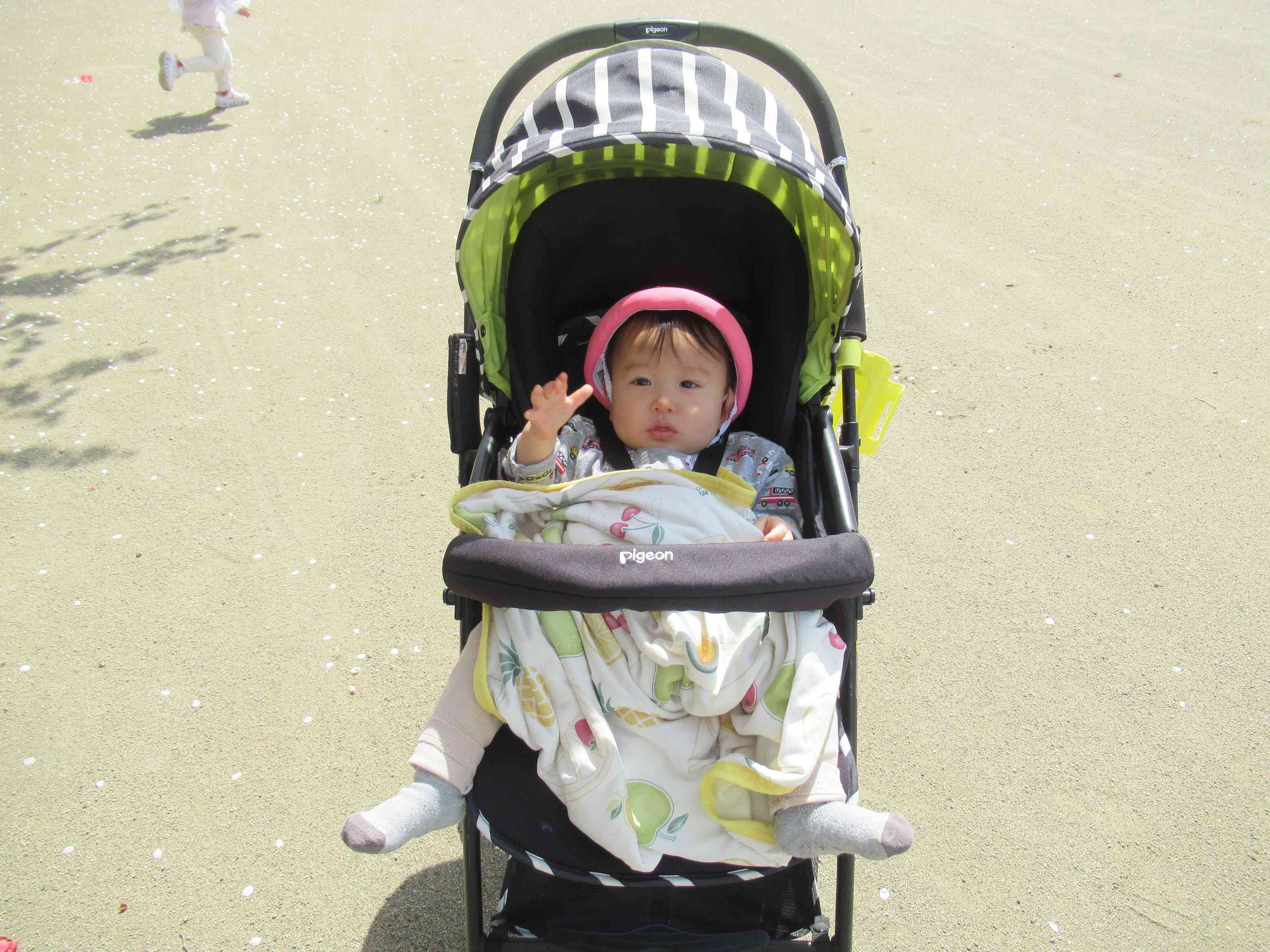 新入園児の０歳児さんも、ベビーカーに乗って、気持ちよさそうにお花見を楽しみましたよ。