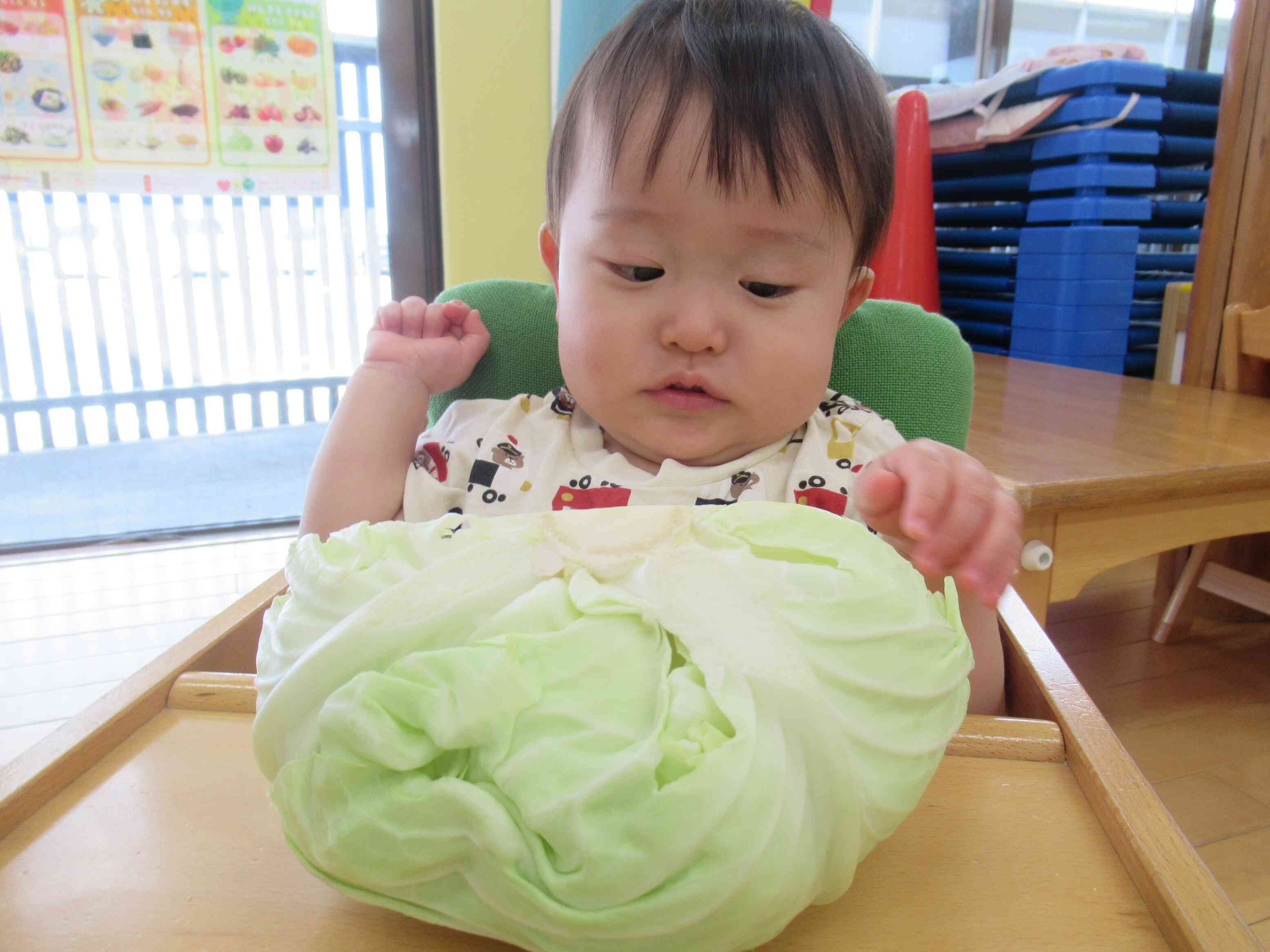 目の前のキャベツに驚いていた０歳児さん。