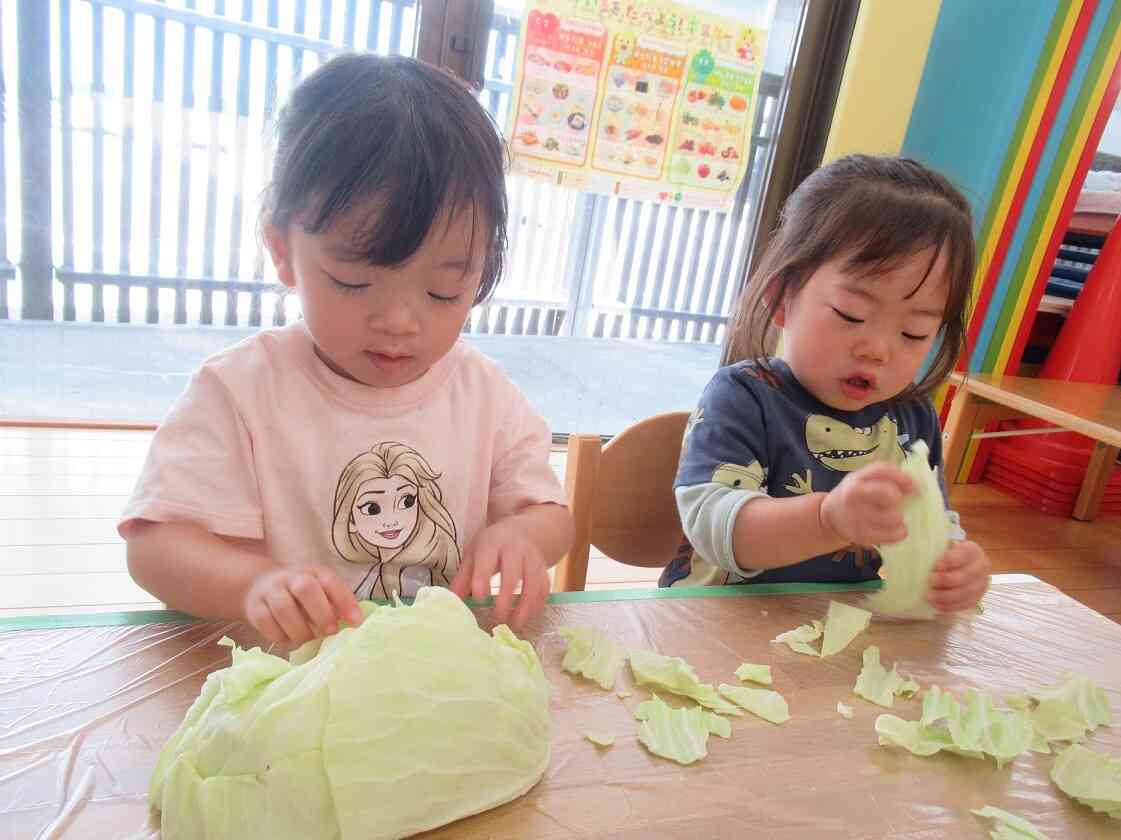 「キャベツの中に何が入っているのかなぁ?」と興味津々に見ながら、むいていました。