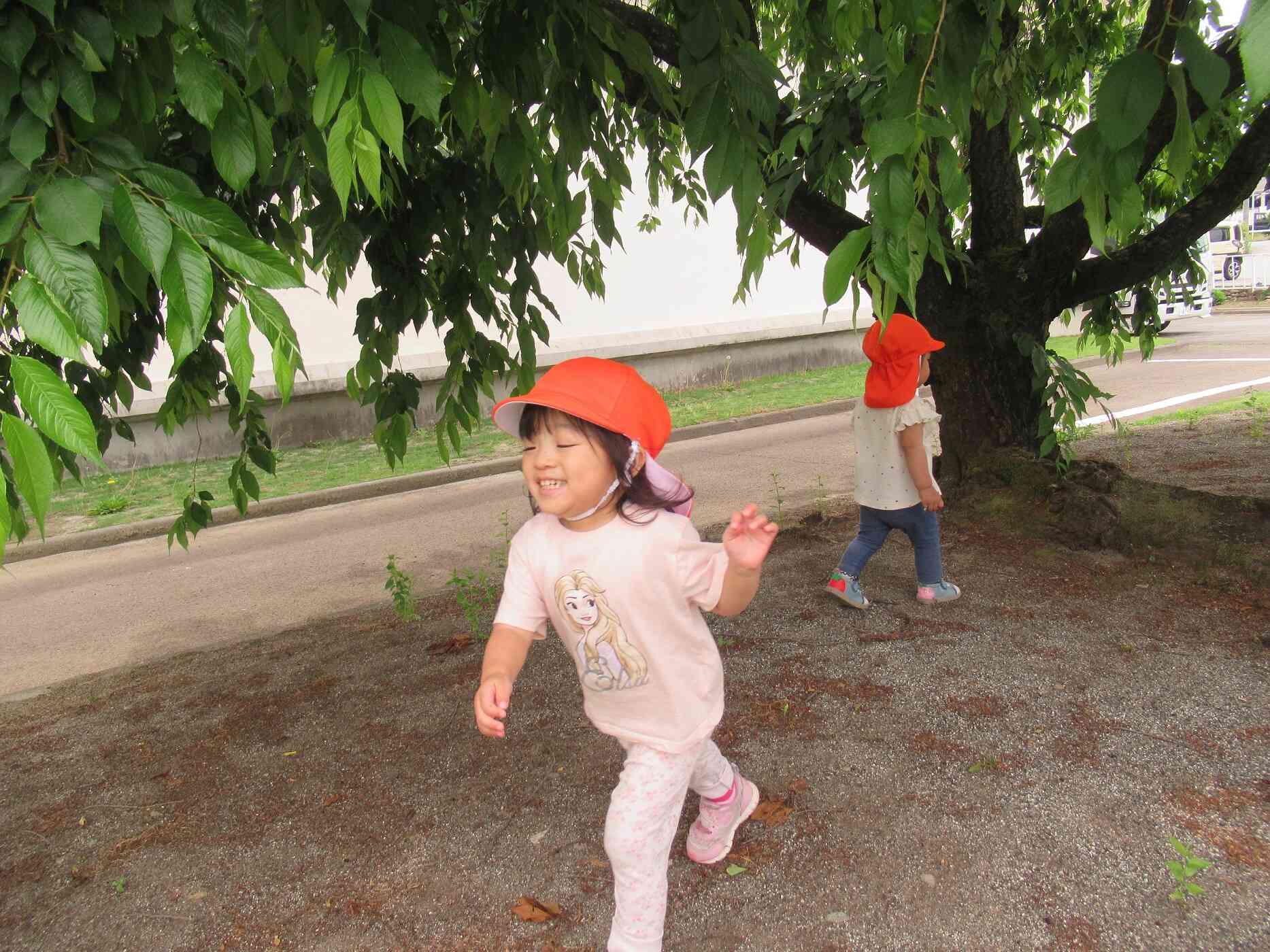 芝生の端っこまで、走っていくよ！