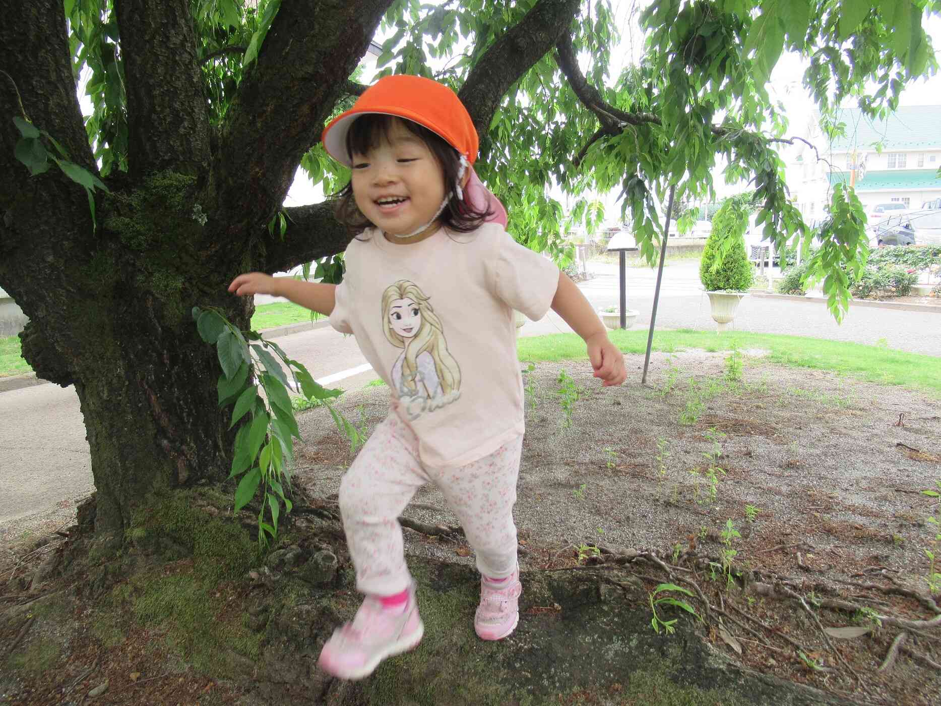 しだれ桜の下を冒険するのが、楽しそうです。