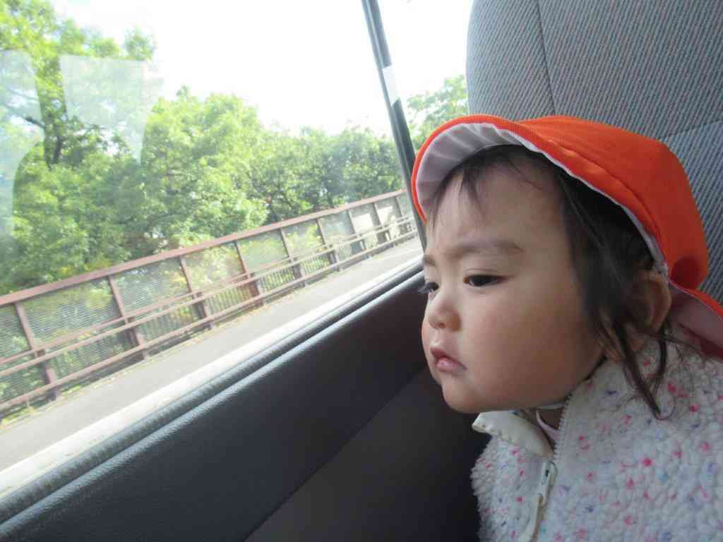 何が見えるかな～？