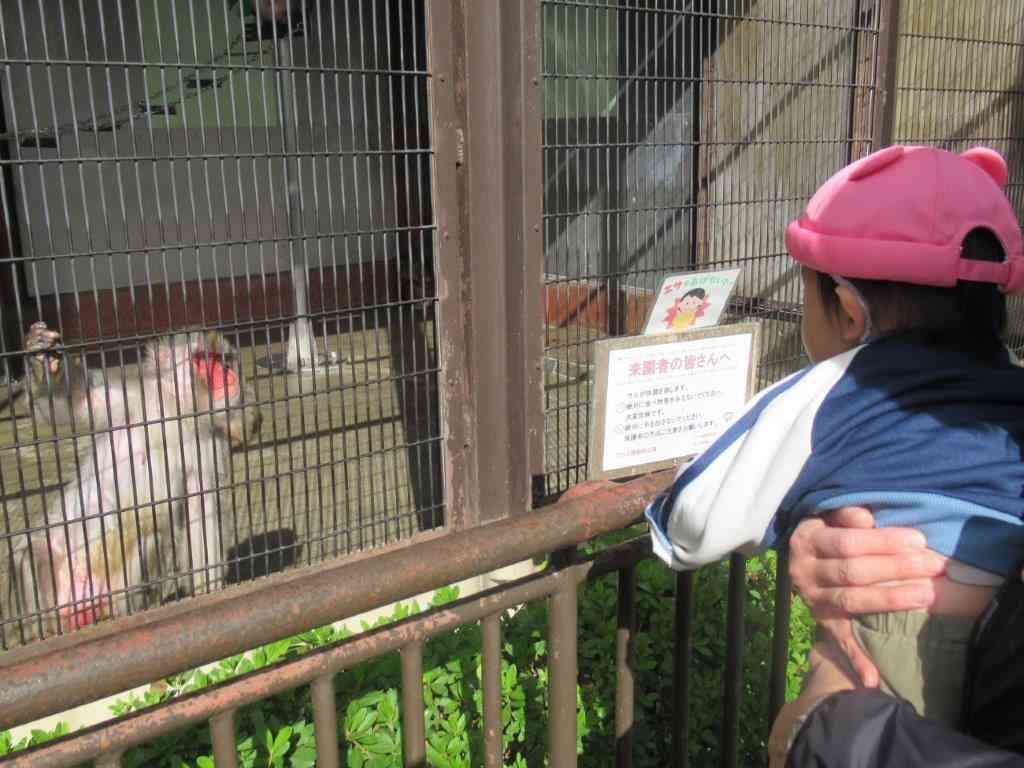 お猿さんとにらめっこ！